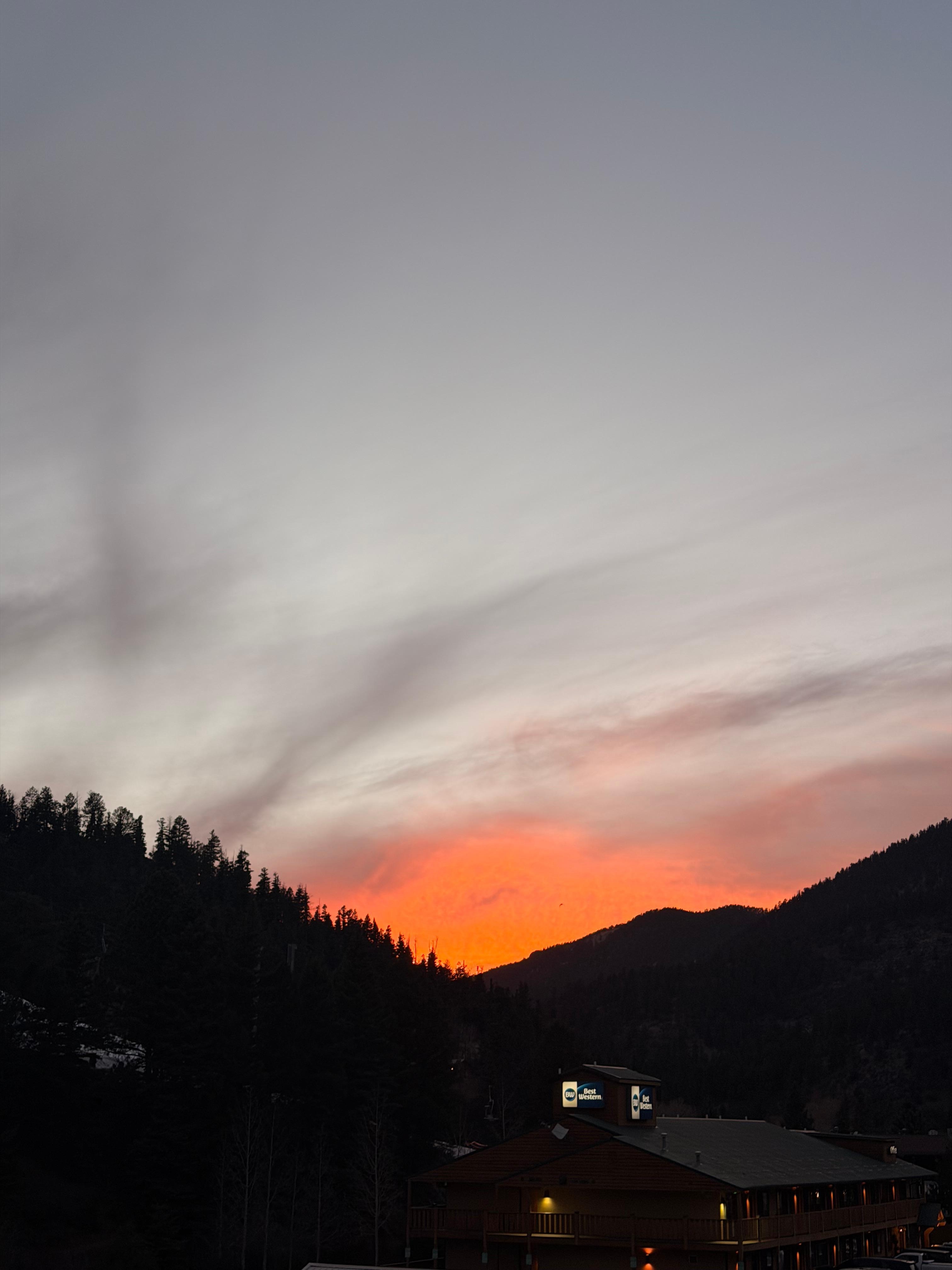 View from the patio. 