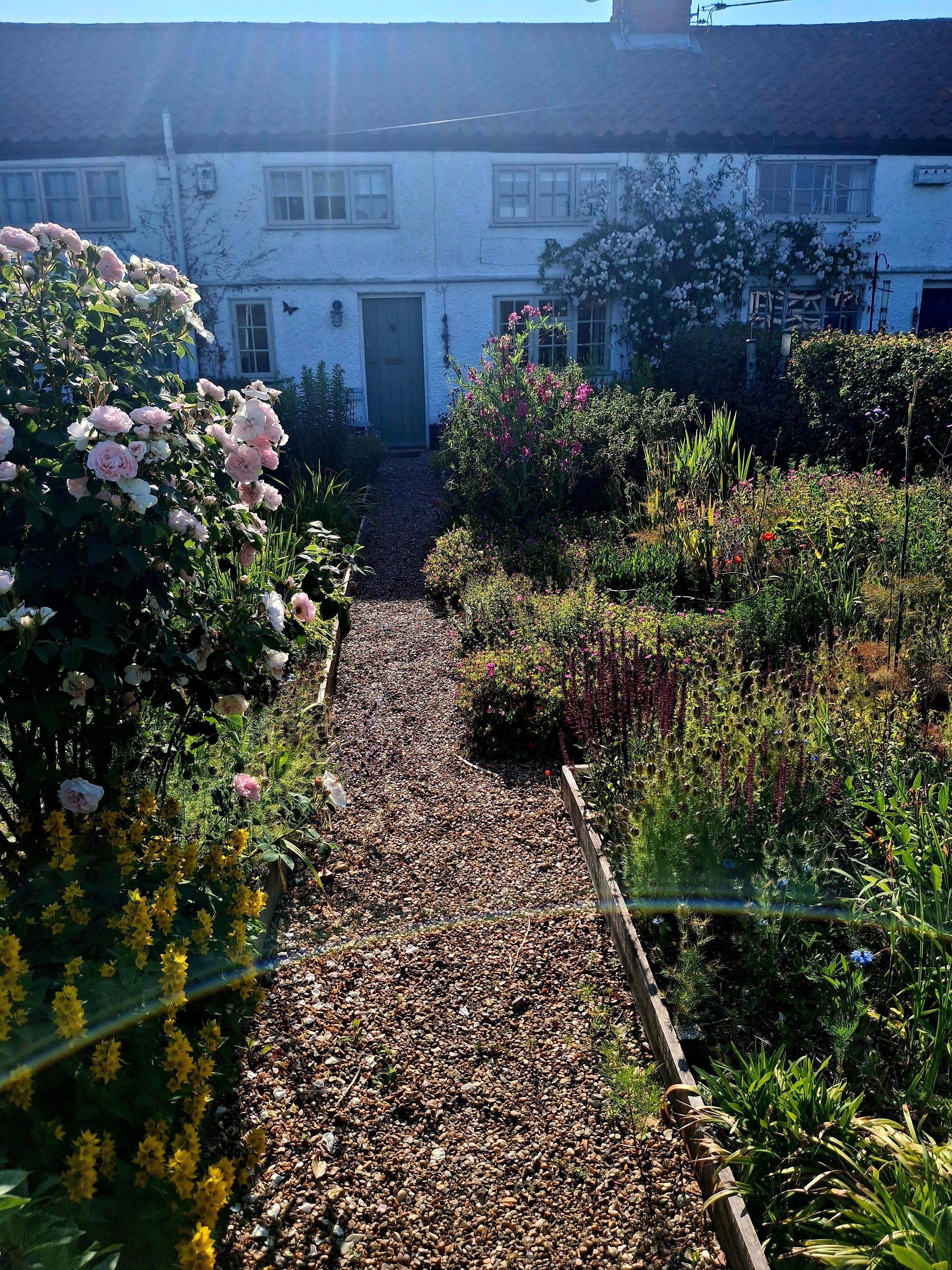 Front garden