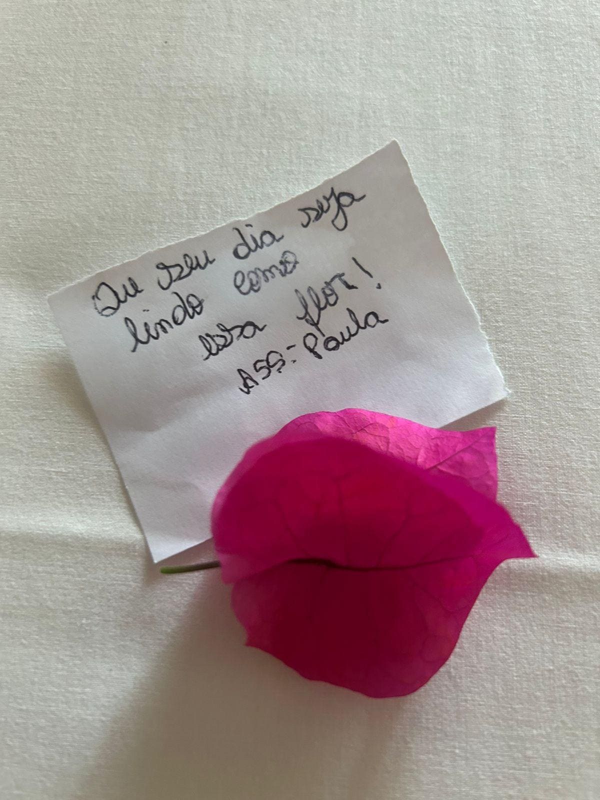 O carinho das camareiras 