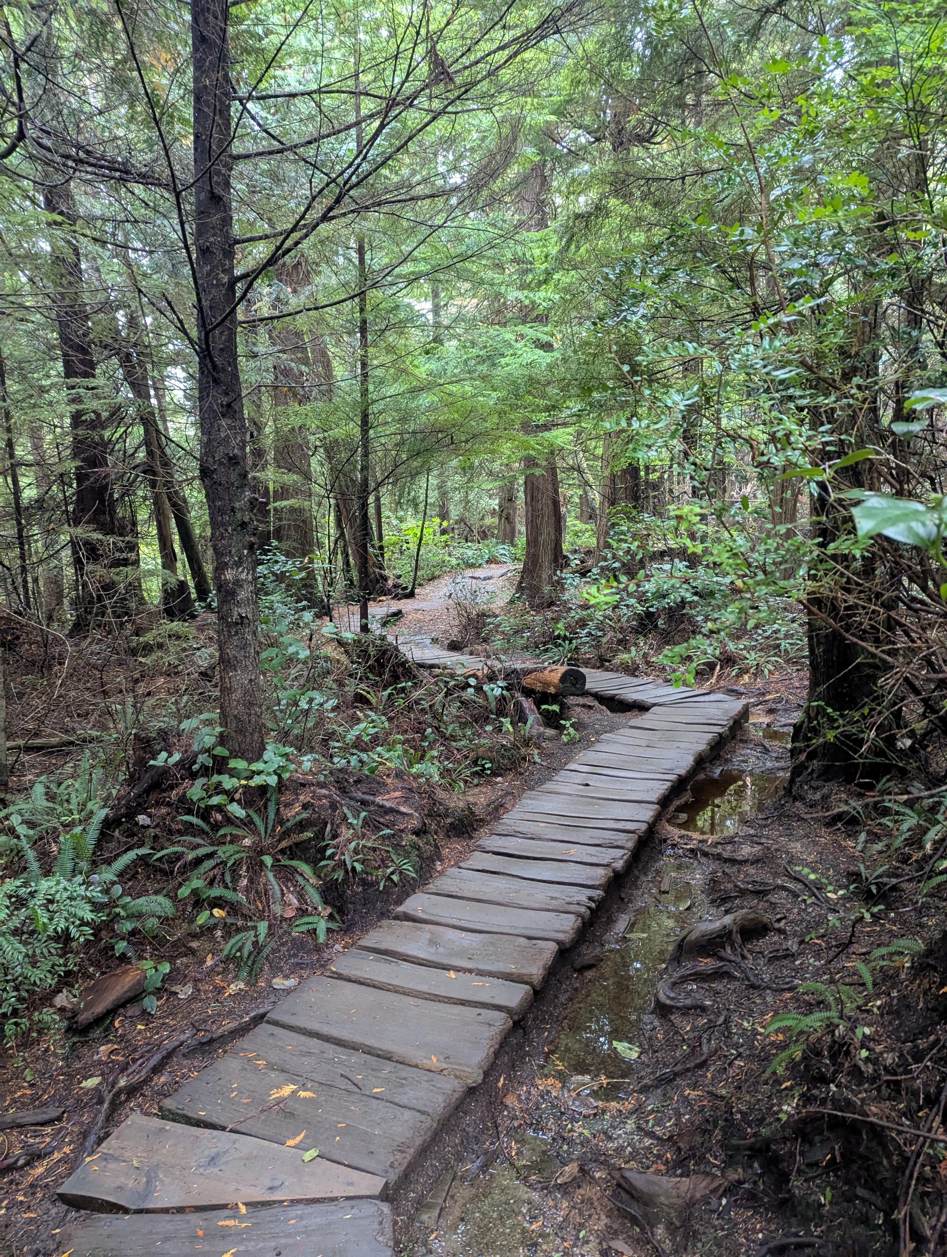 Cape flattery hike - approximately an hour from the property.