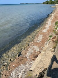 The waterfront.