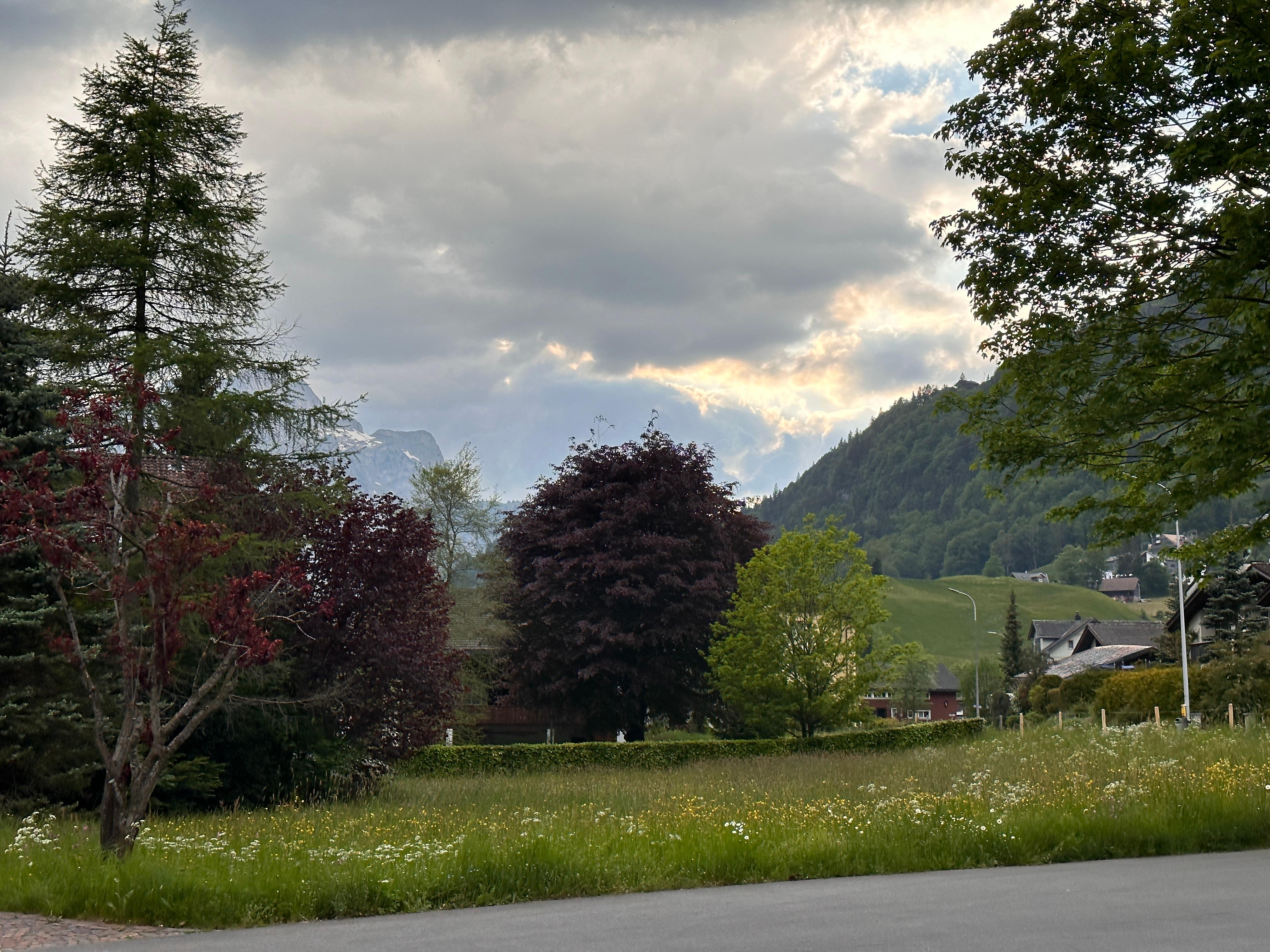 View in front of the hotel 