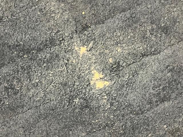damaged rug