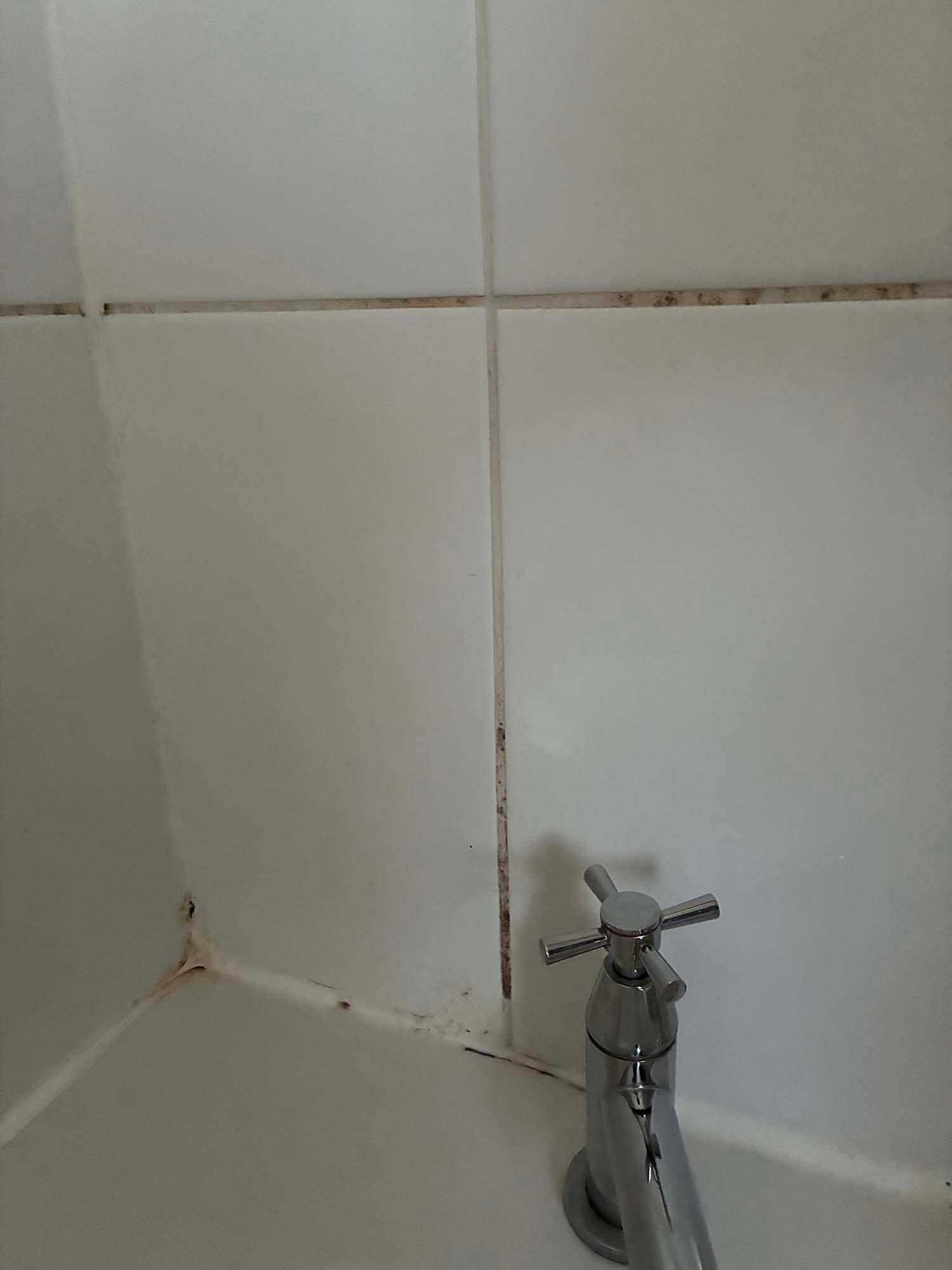 Moldy bathroom with ineffectual shower
