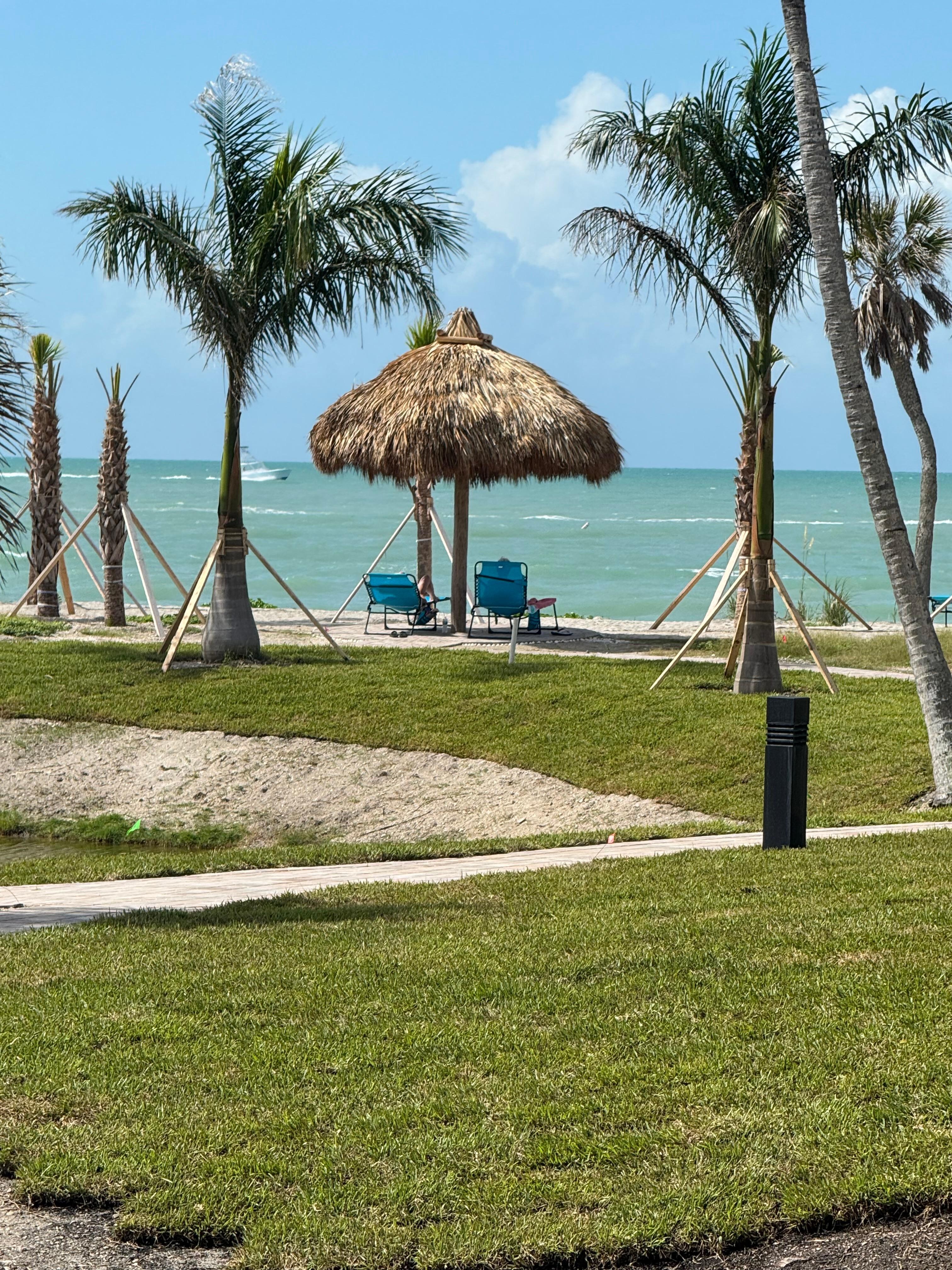 View from patio