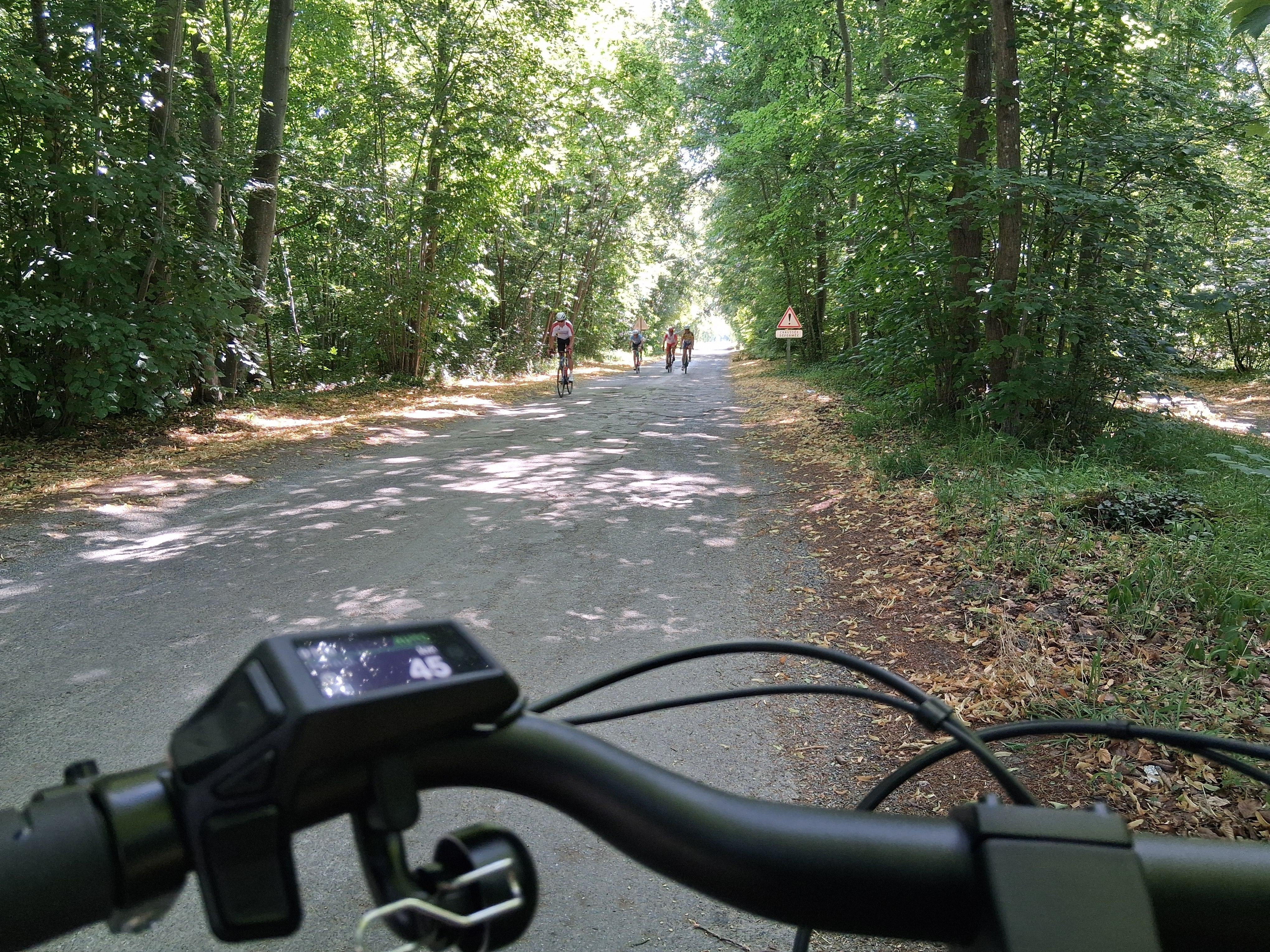 A car-free route through the heart of the forest!