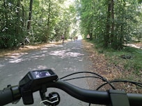 A car-free route through the heart of the forest!