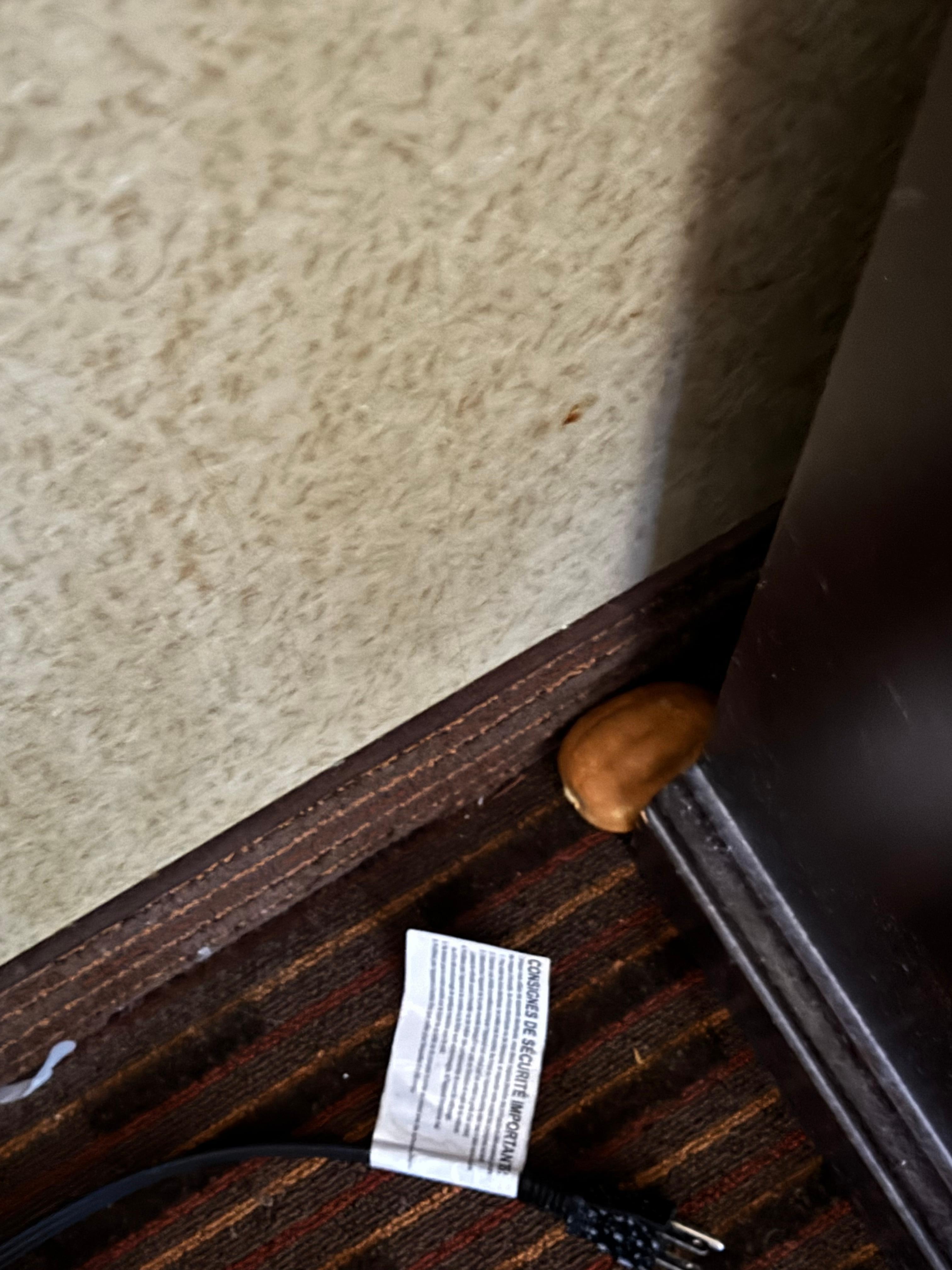 Rotting Lemon on check in.