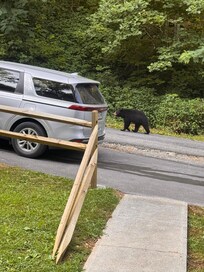 We had a special visitor while we were packing to leave.