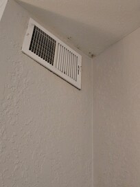 Wall vent - mold or mildew in corner