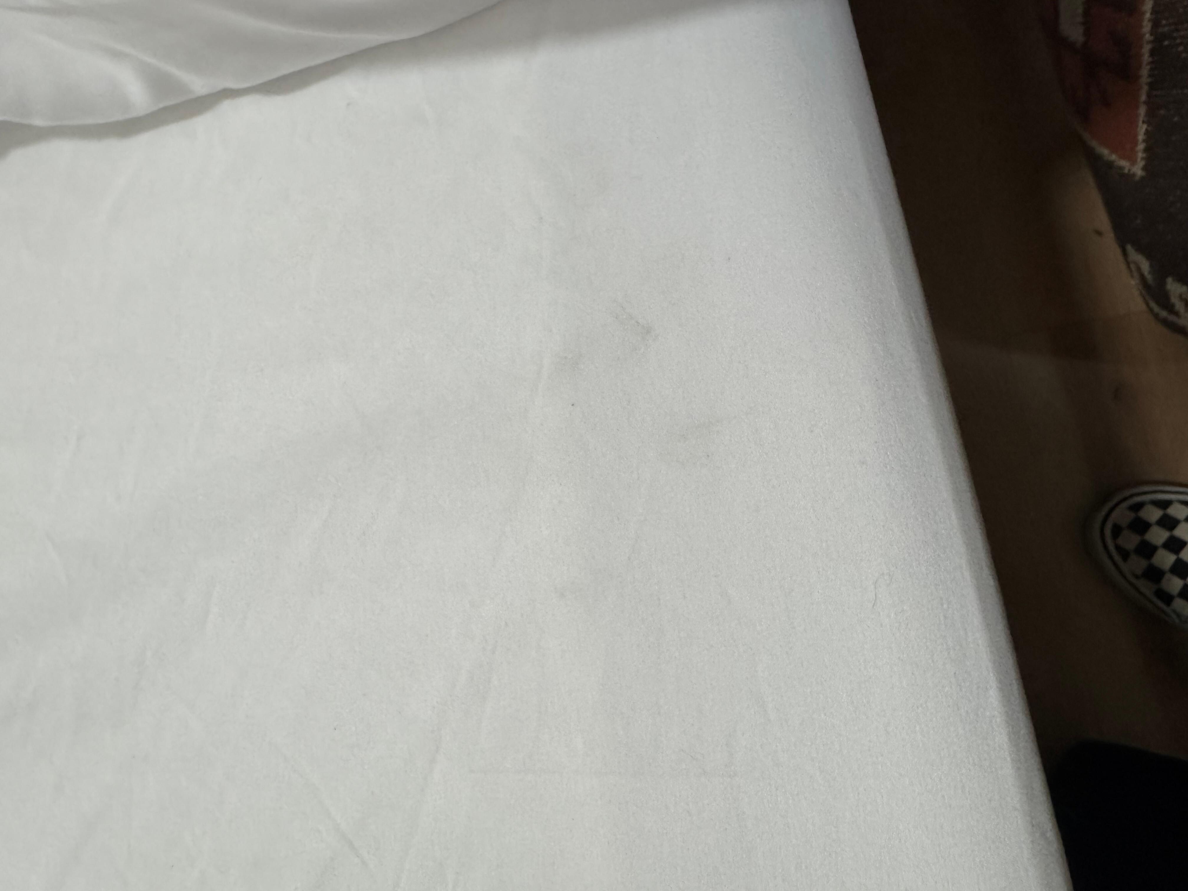 Stains that we could rub off when touched, they were not washed. 