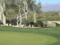 Another great golf course (Quintero)