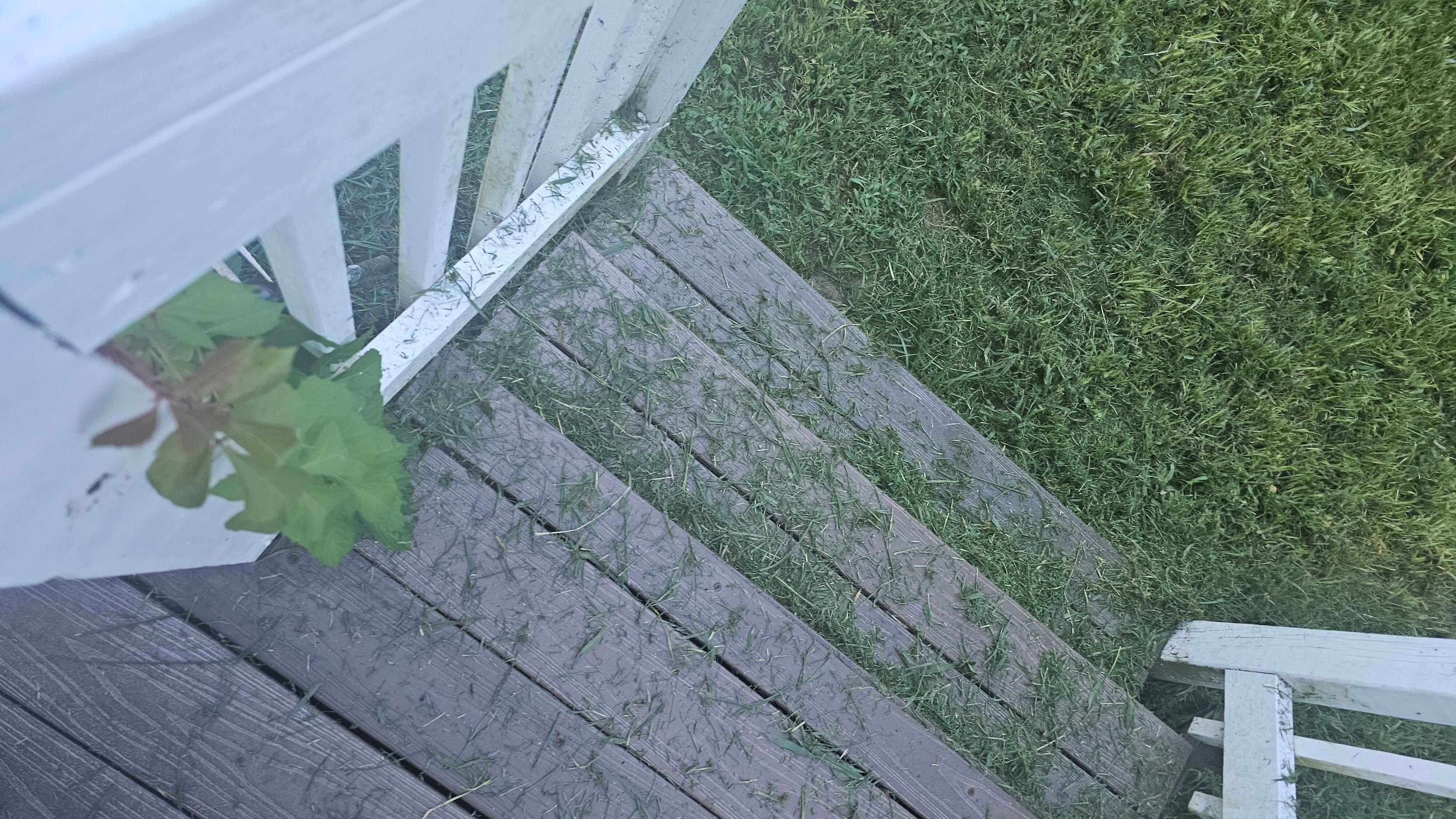 Clippings after cut