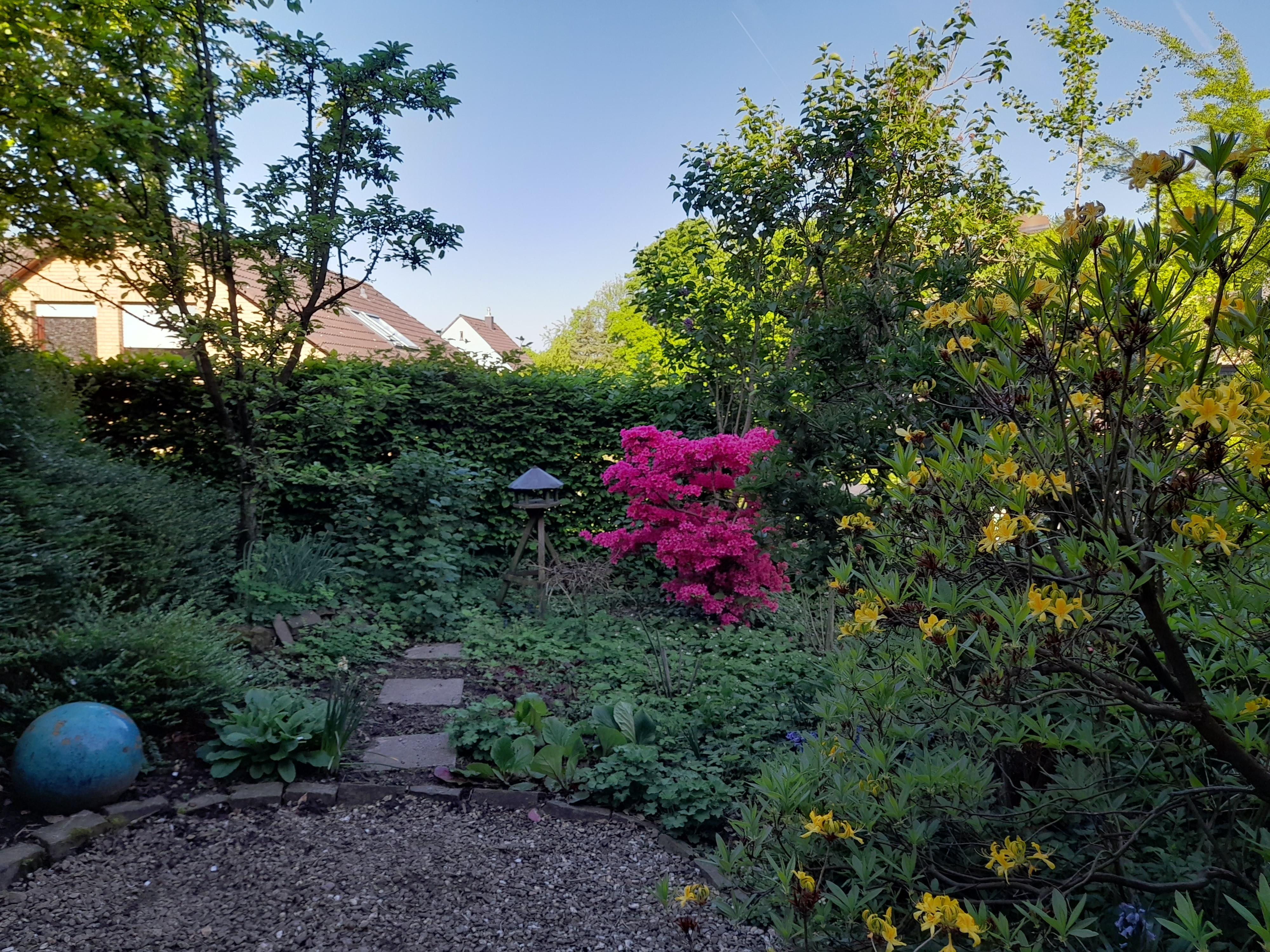 Blick von der Therrasse auf den Garten 