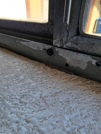 Another bedroom window screwed shut