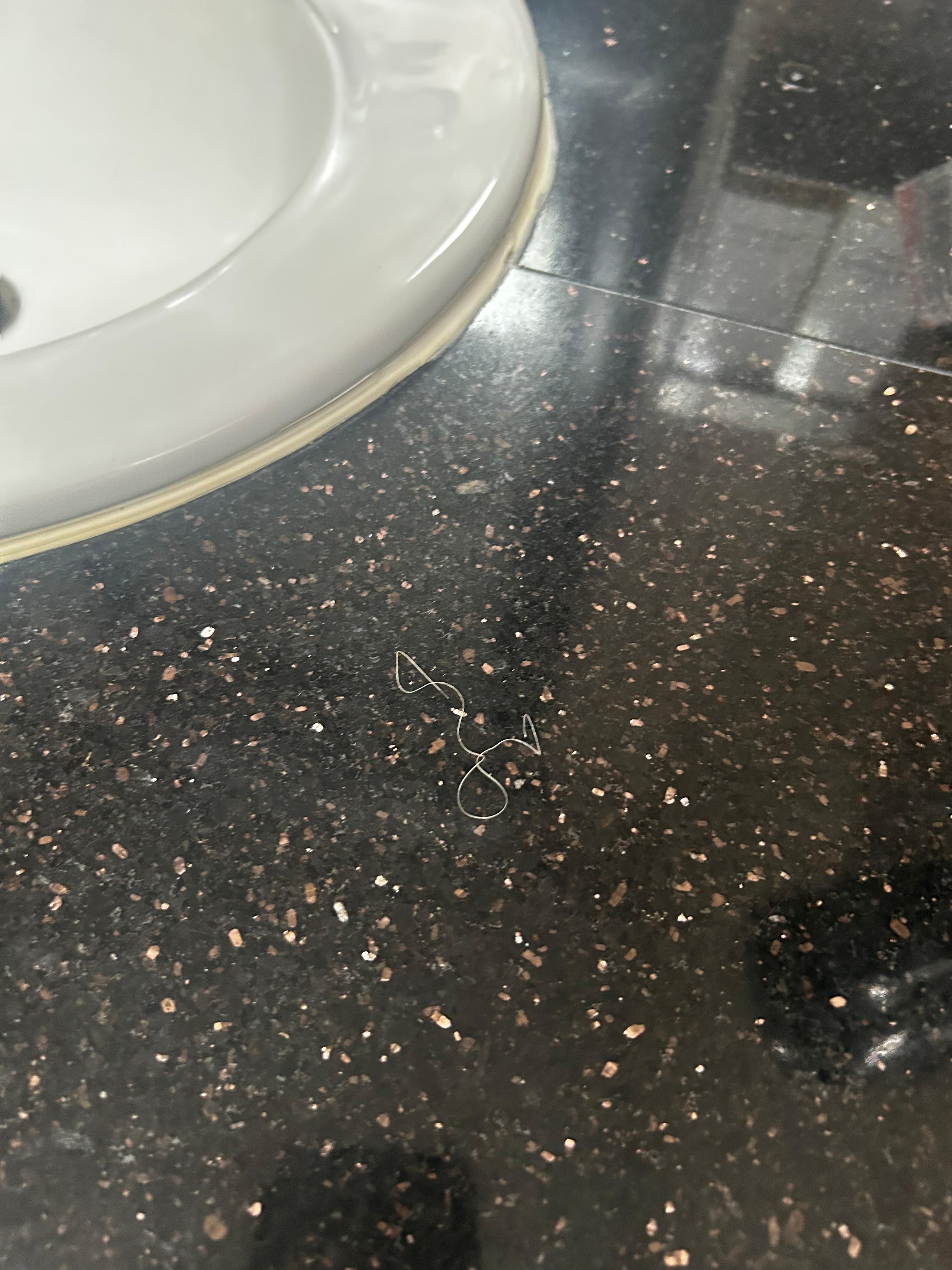 Hair in the bathroom 