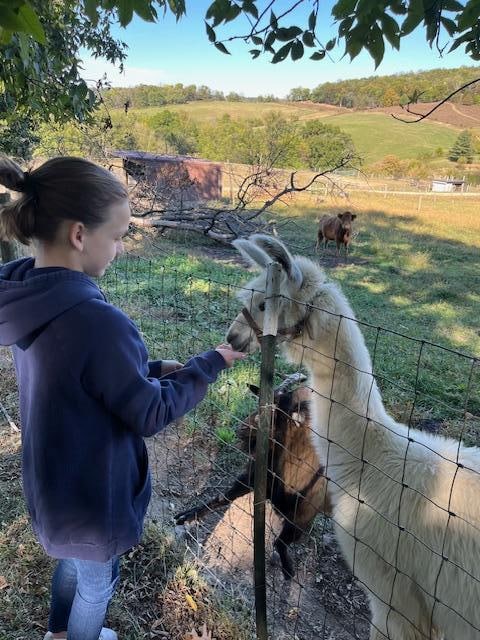 Farm on the property