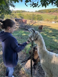 Farm on the property