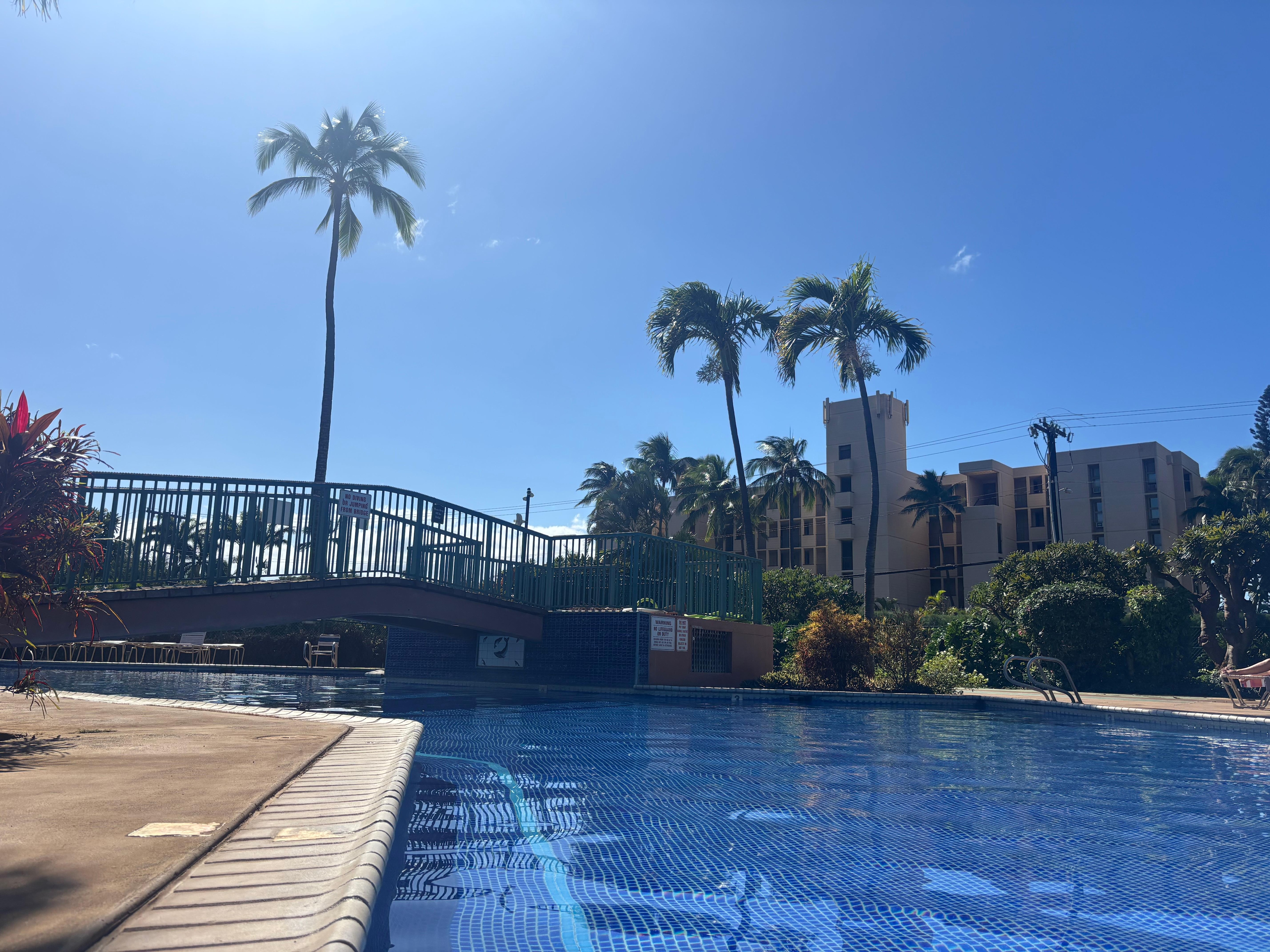 Gorgeous, large, well cared for pool with lots of loungers.