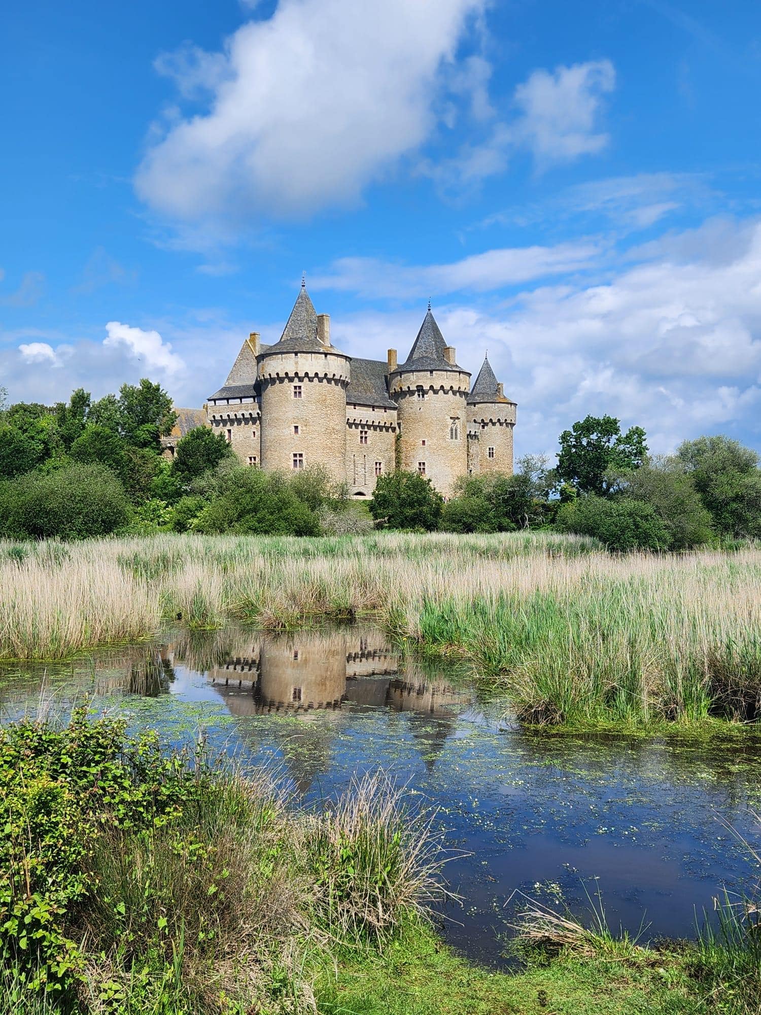 Le château de suscinio 