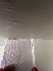 Visible Mold in the bathroom