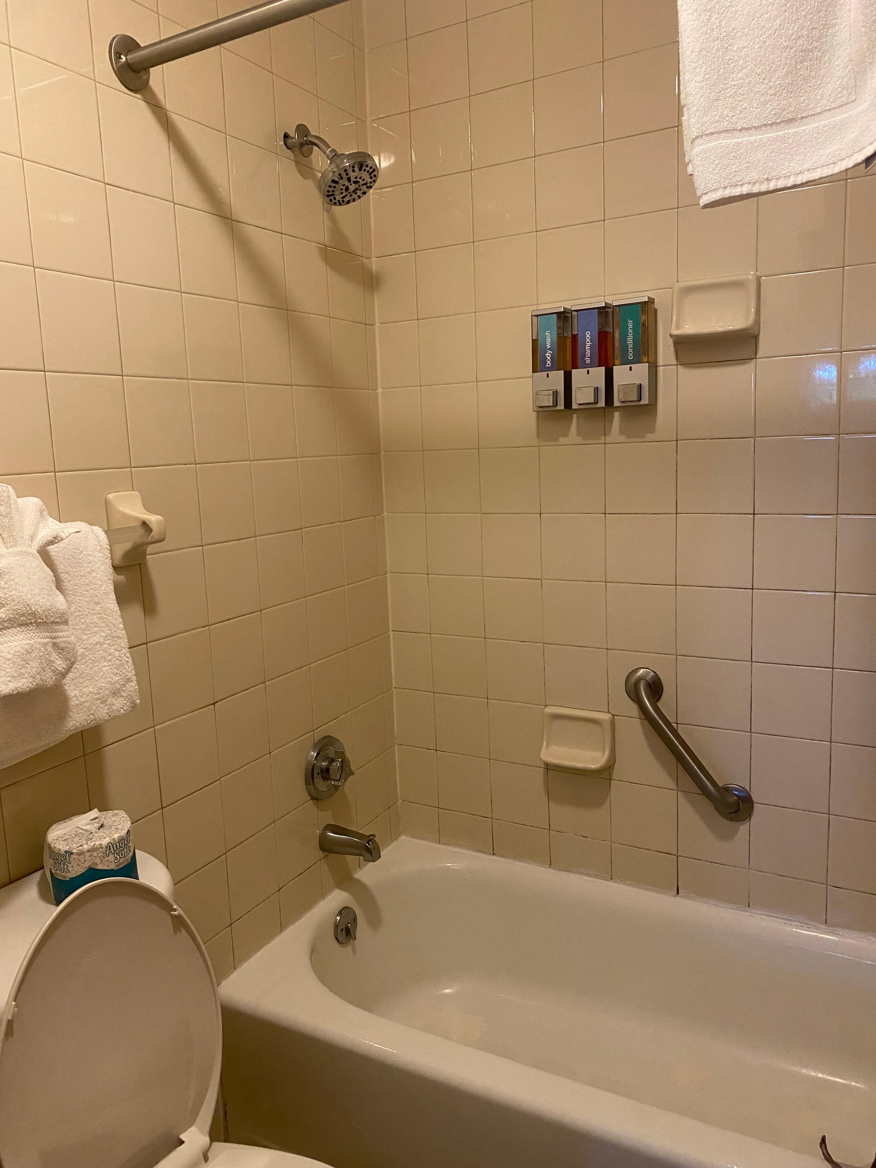 No conditioner, shower curtain had mold all over it. 