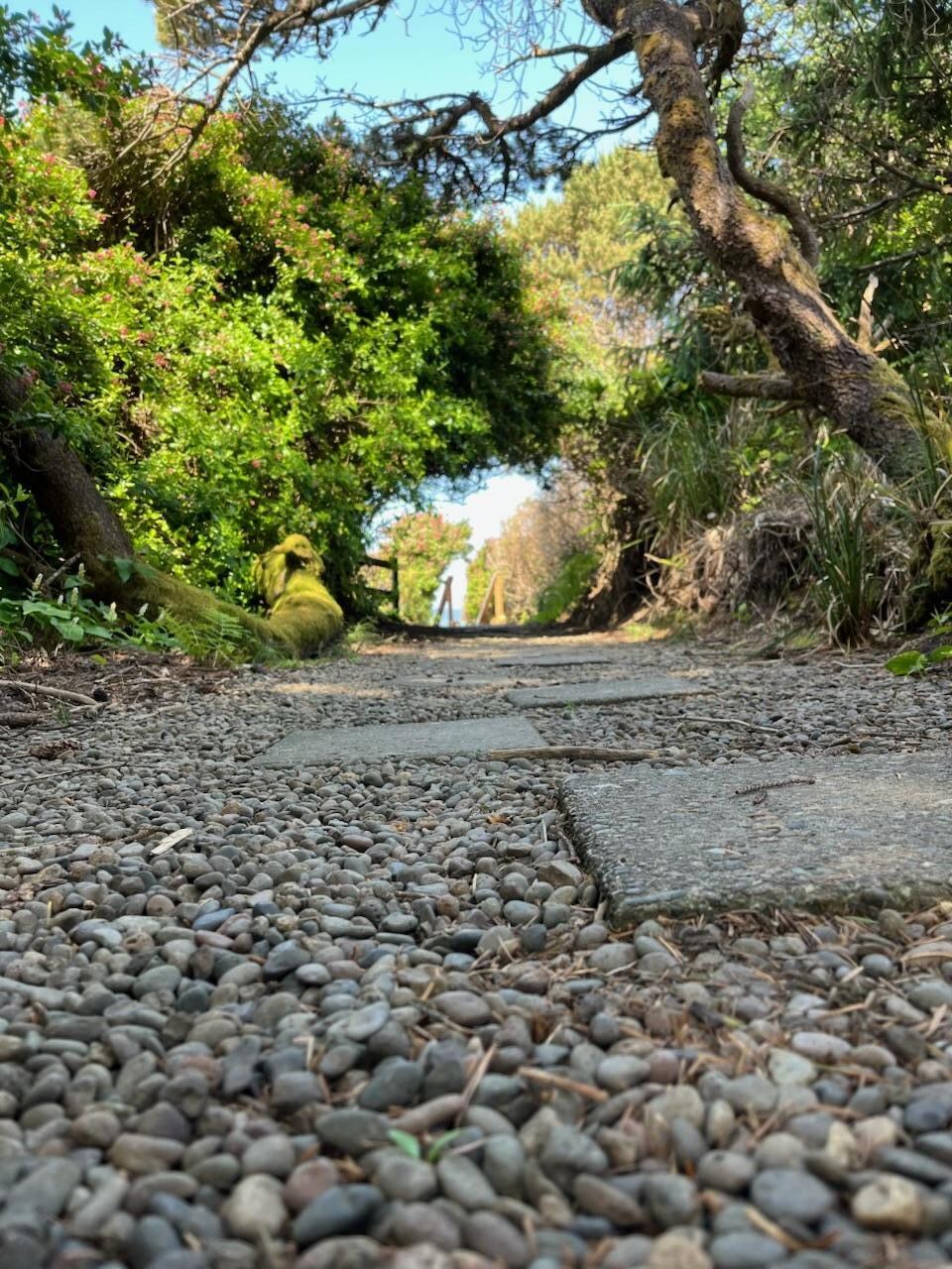 Path to the beach