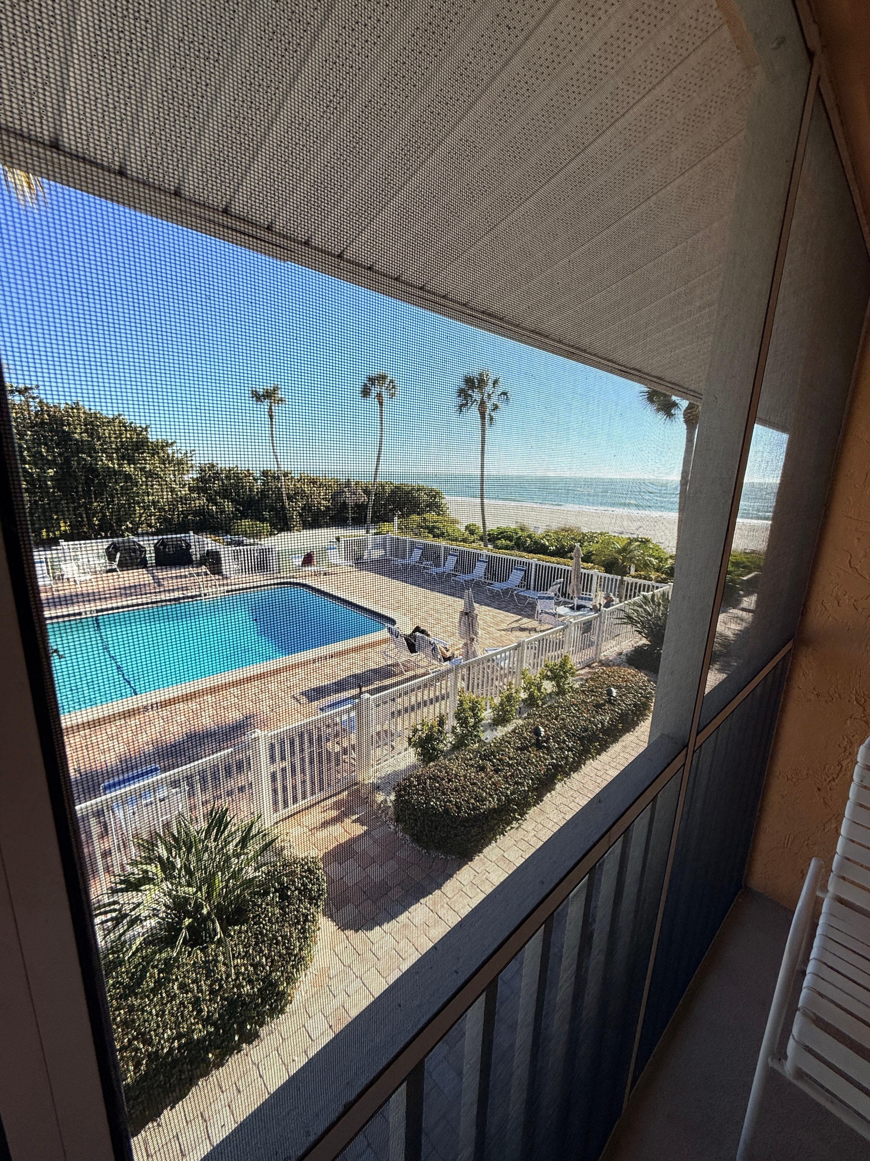 view from screened porch