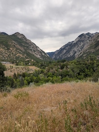 Backyard view