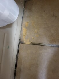 Weird substance in front of tub, mold growing in floor tiles in bathroom
