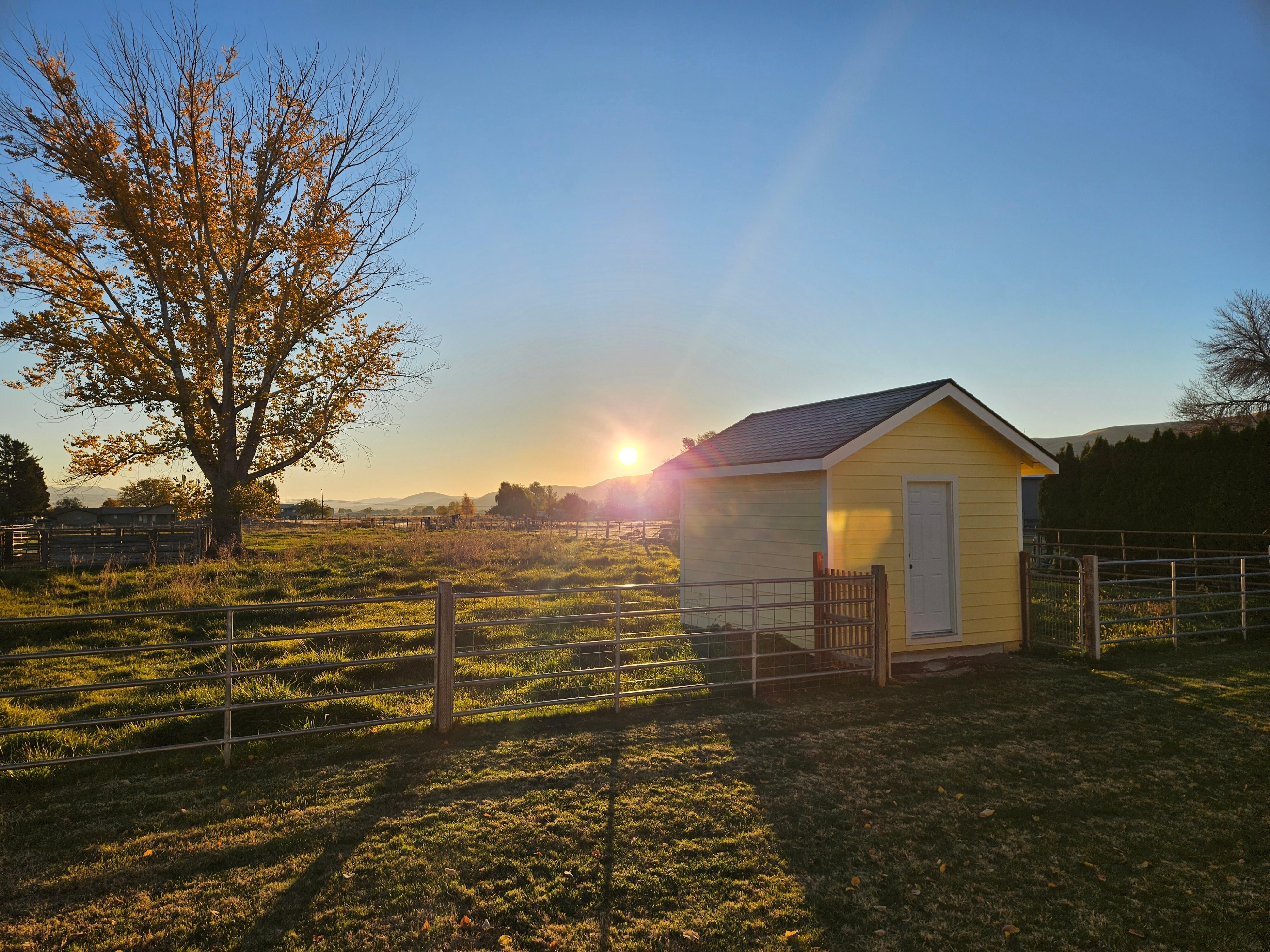 Morning sun from the back of the house. 