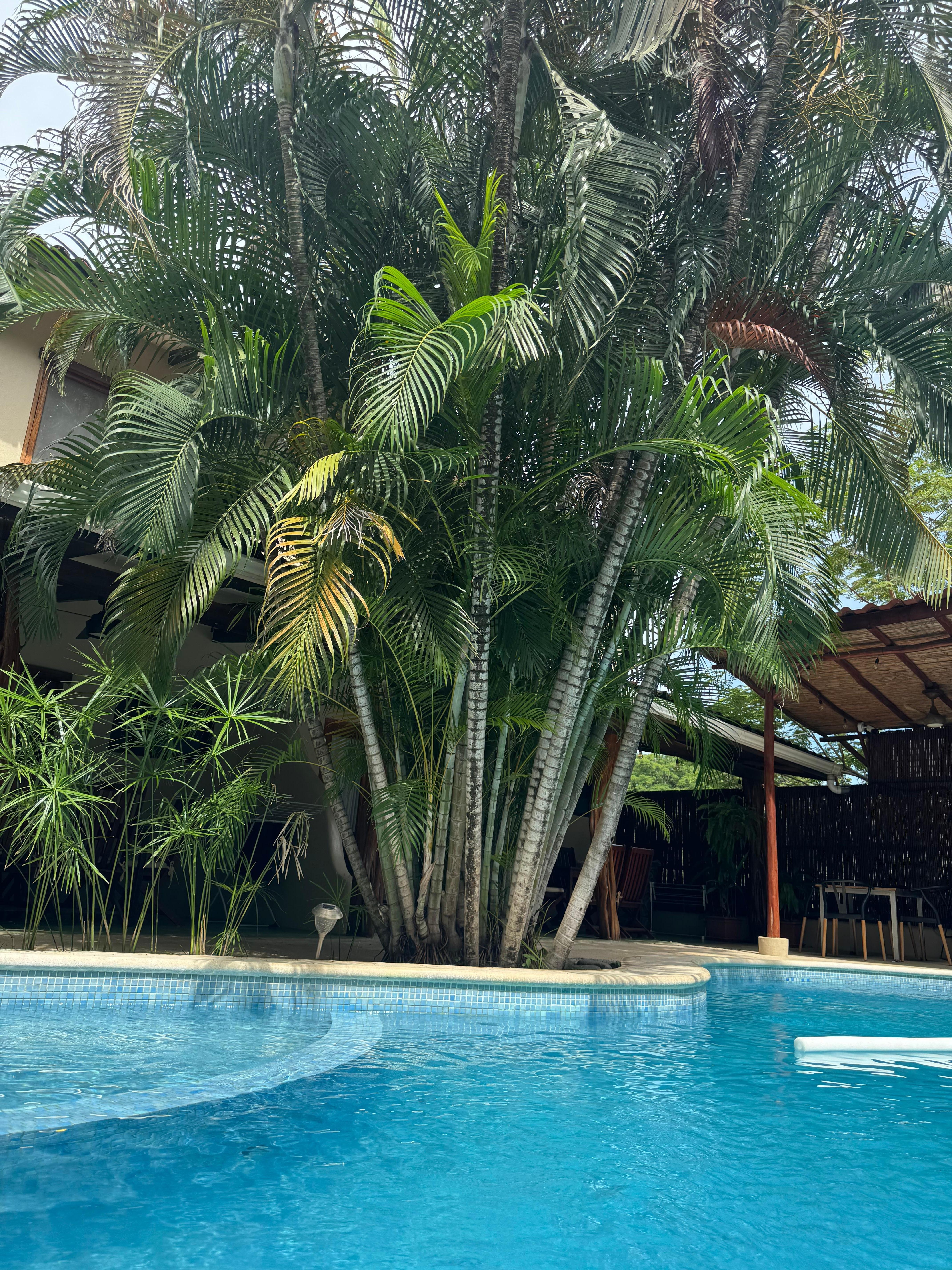 Poolside