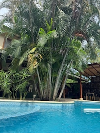 Poolside