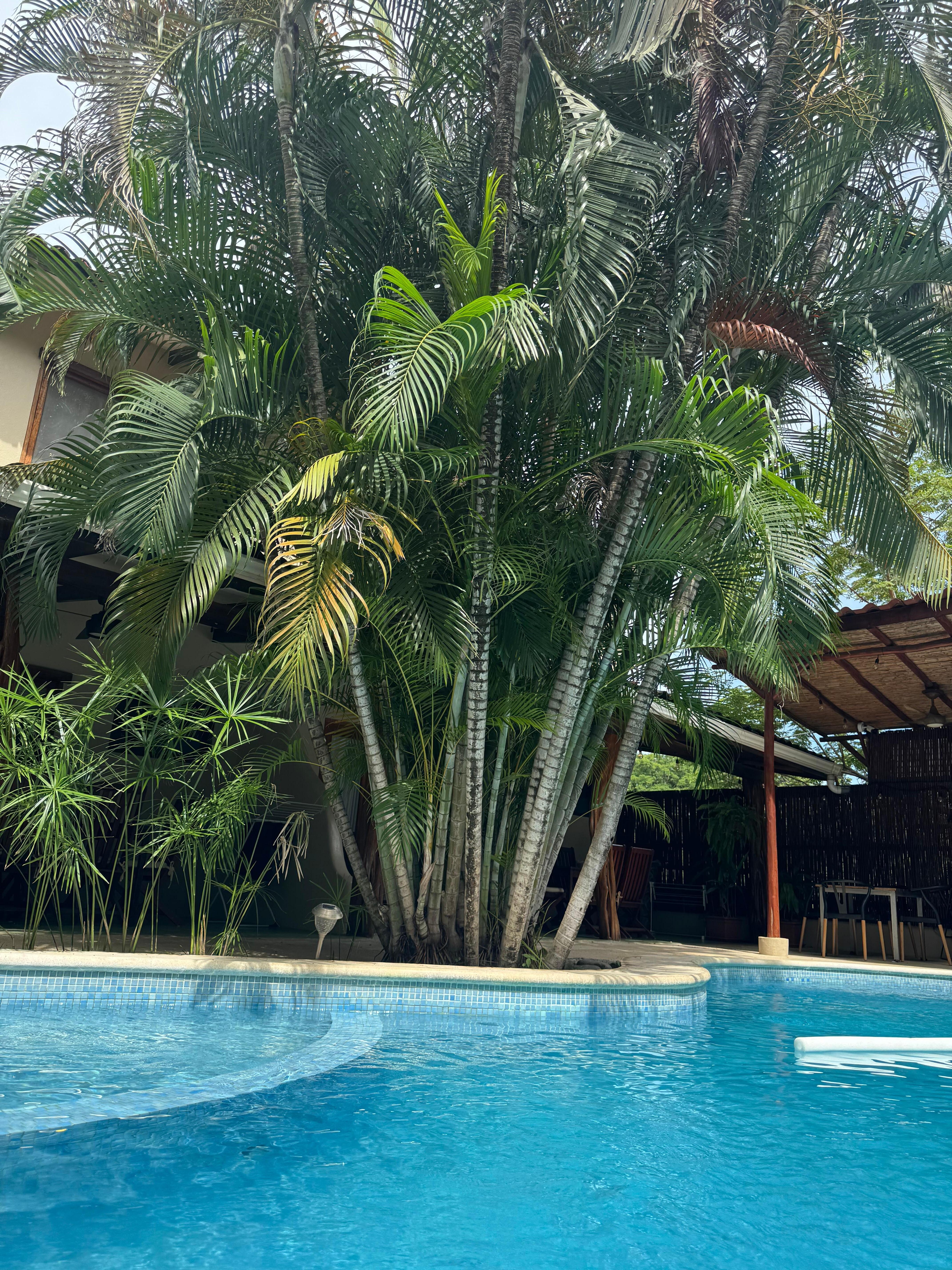 Poolside