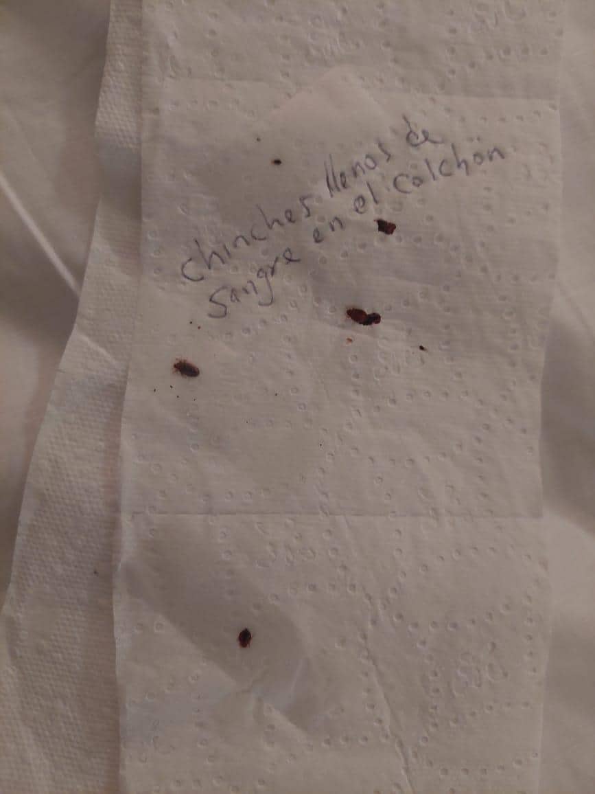 DOS CHINCHES MUERTOS Y VARIOS VIVOS, LES PUSE CINTA, QUE ASCO, NECESITO QUE ME REUBIQUEN, NO ME PUEDO QUEDAR AQUI HOY. ESTO ES UNA PERDIDA DE TIEMPO PARA MI, TENGO EL VIDEO QUE SI ES DENTRO DE ESTA HABITACION, DIGANME QUE HAGO, ME TENGO QUE IR DE AQU