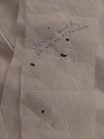 DOS CHINCHES MUERTOS Y VARIOS VIVOS, LES PUSE CINTA, QUE ASCO, NECESITO QUE ME REUBIQUEN, NO ME PUEDO QUEDAR AQUI HOY. ESTO ES UNA PERDIDA DE TIEMPO PARA MI, TENGO EL VIDEO QUE SI ES DENTRO DE ESTA HABITACION, DIGANME QUE HAGO, ME TENGO QUE IR DE AQU