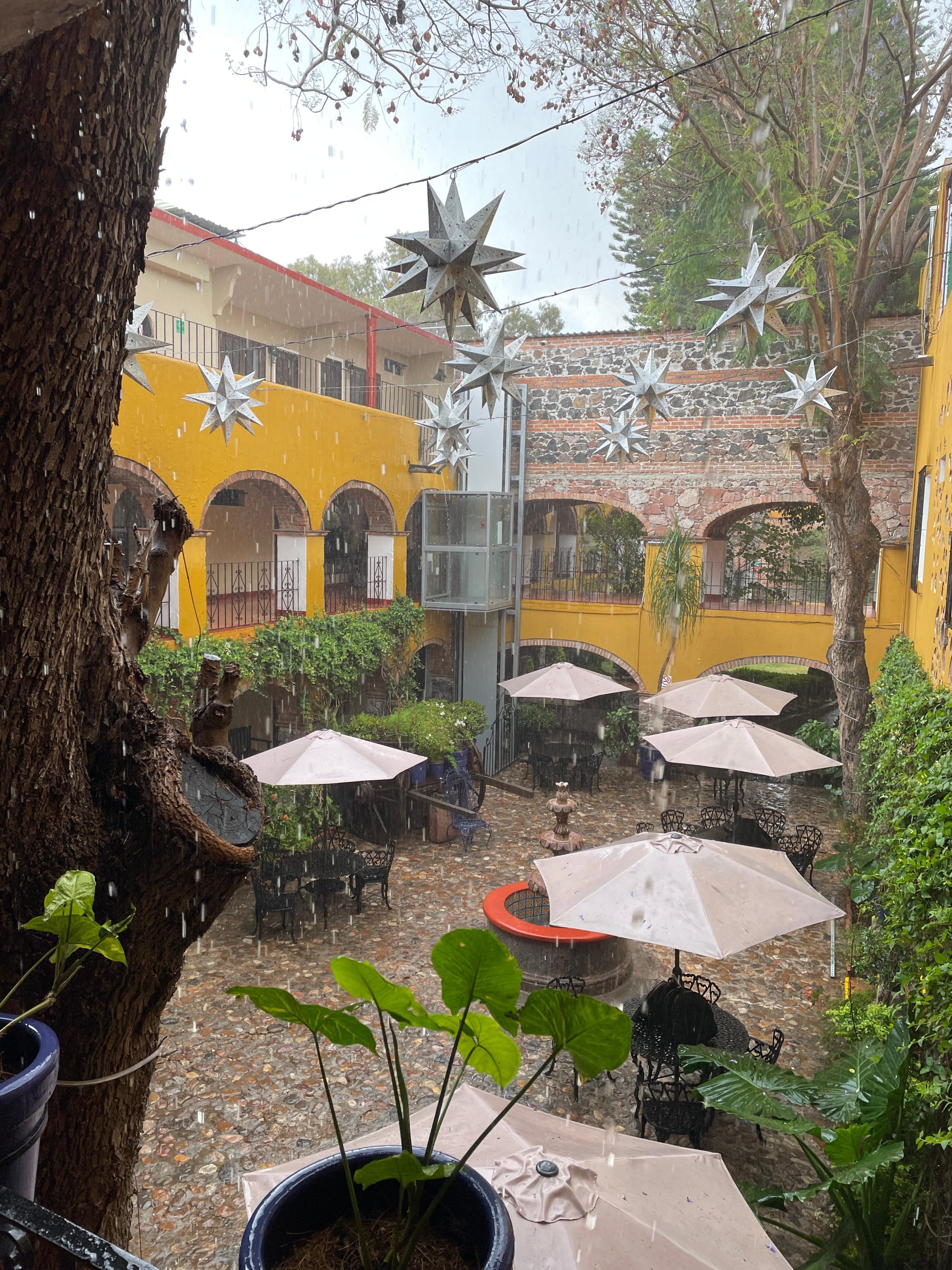 Afternoon of rain early March.. never happens.. most welcome