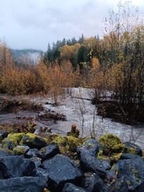 Took a nice walk to the river