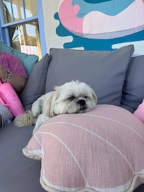 Pet Friendly
