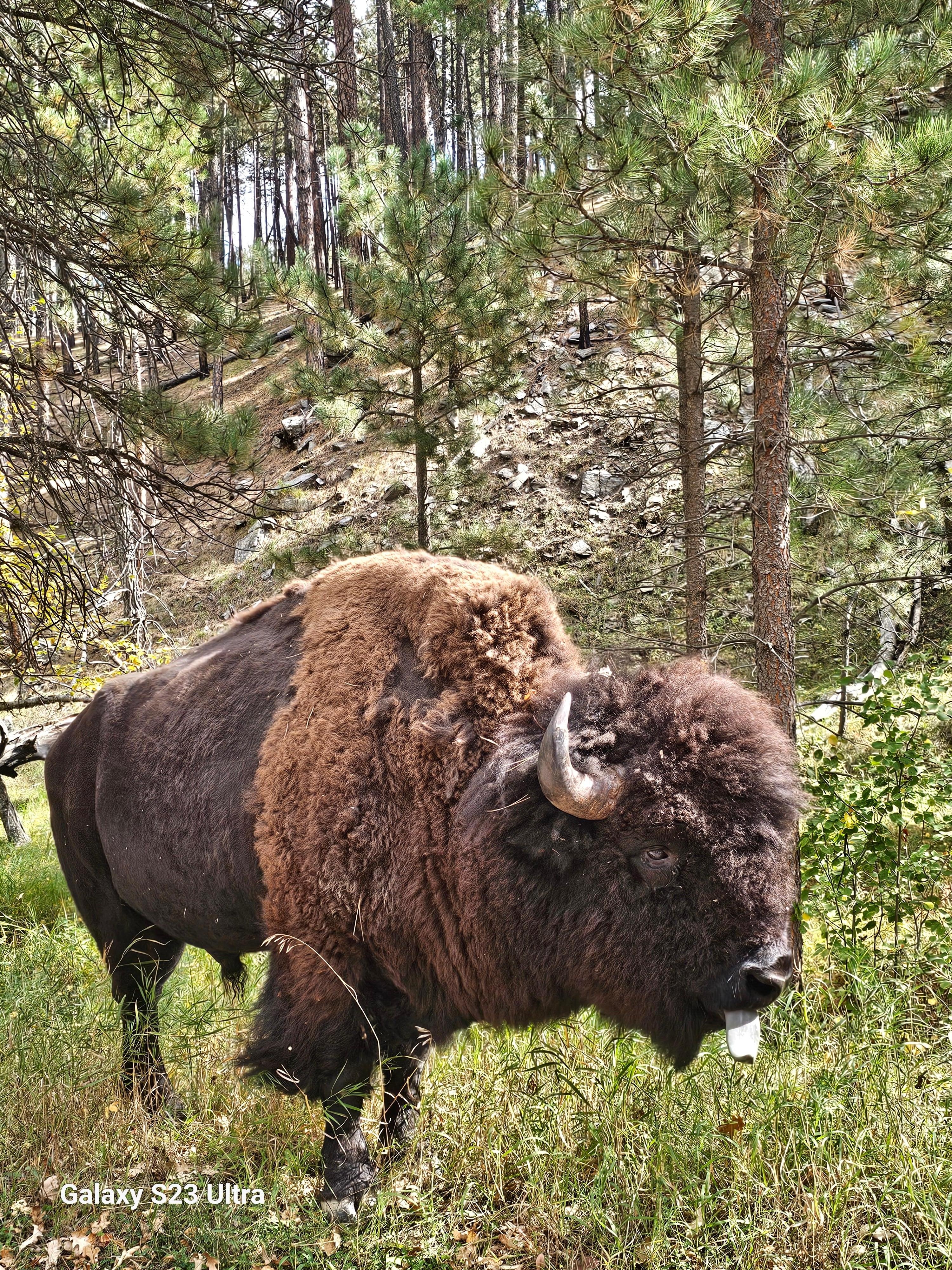 He was just off the road.