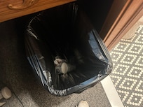 Picture of waste basket not cleaned