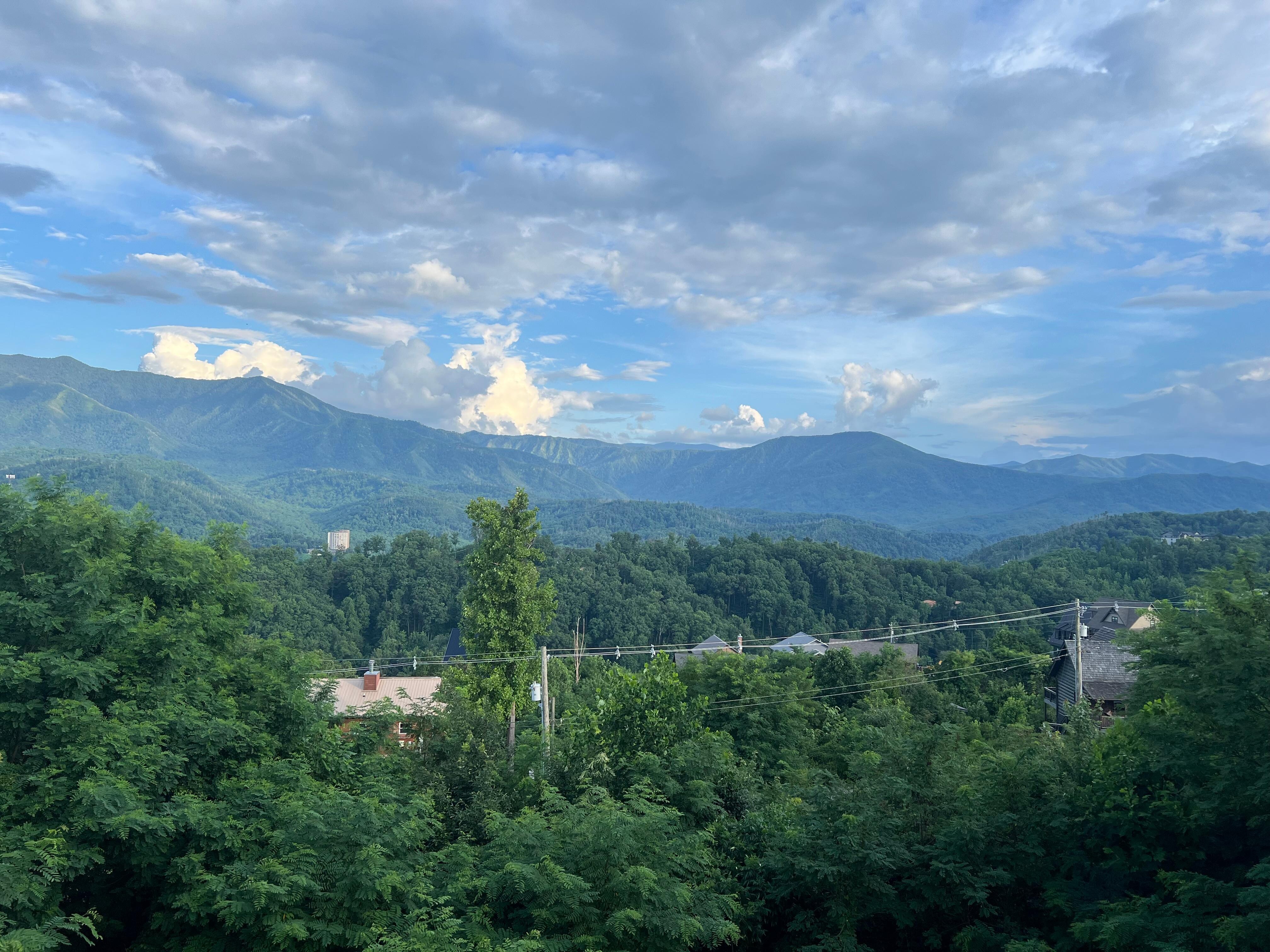 View from the deck
