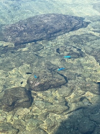とても綺麗な海まで徒歩30秒
