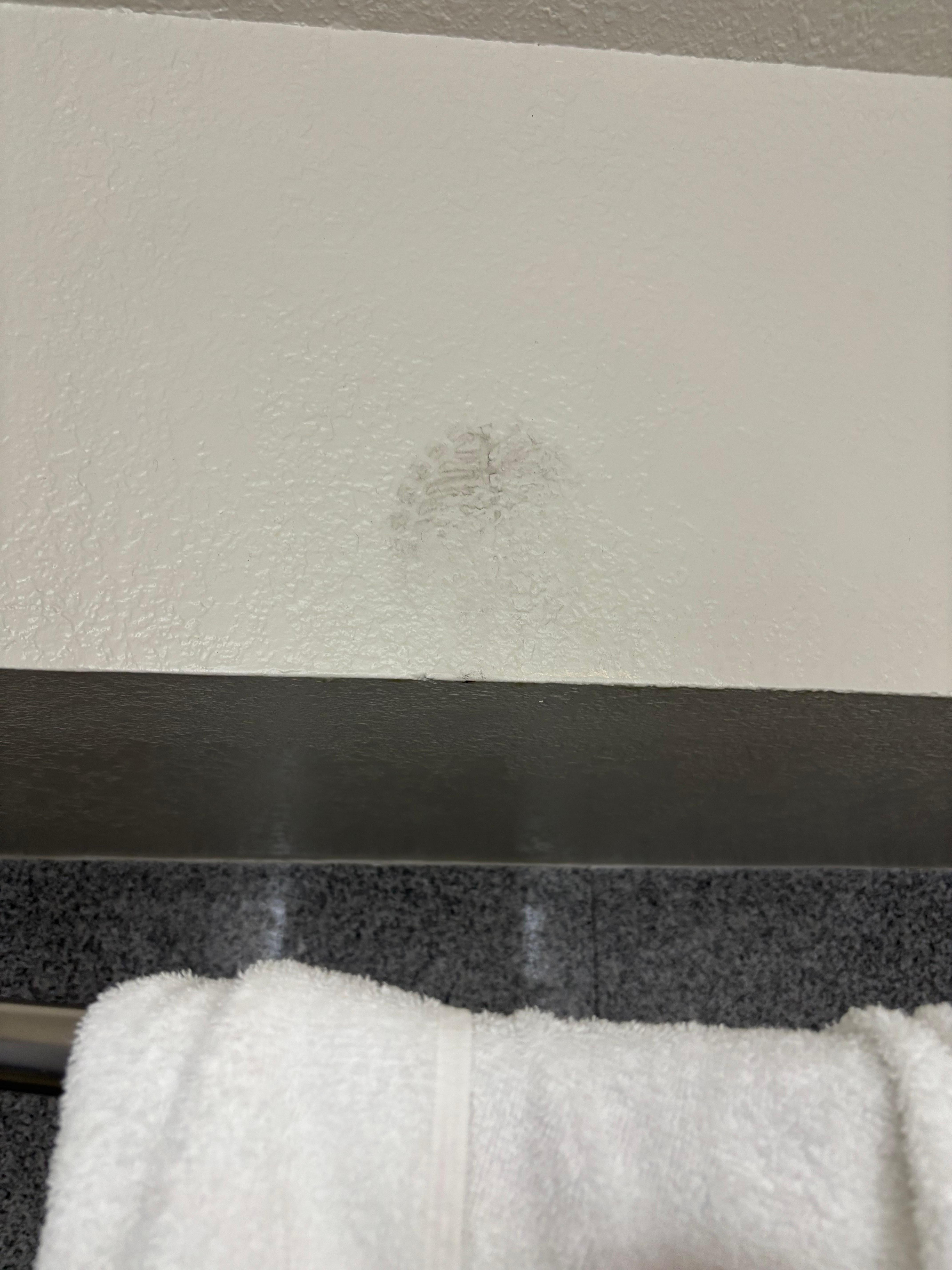 Shoe print above shower