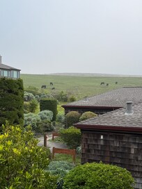 View from the second story of building 3.