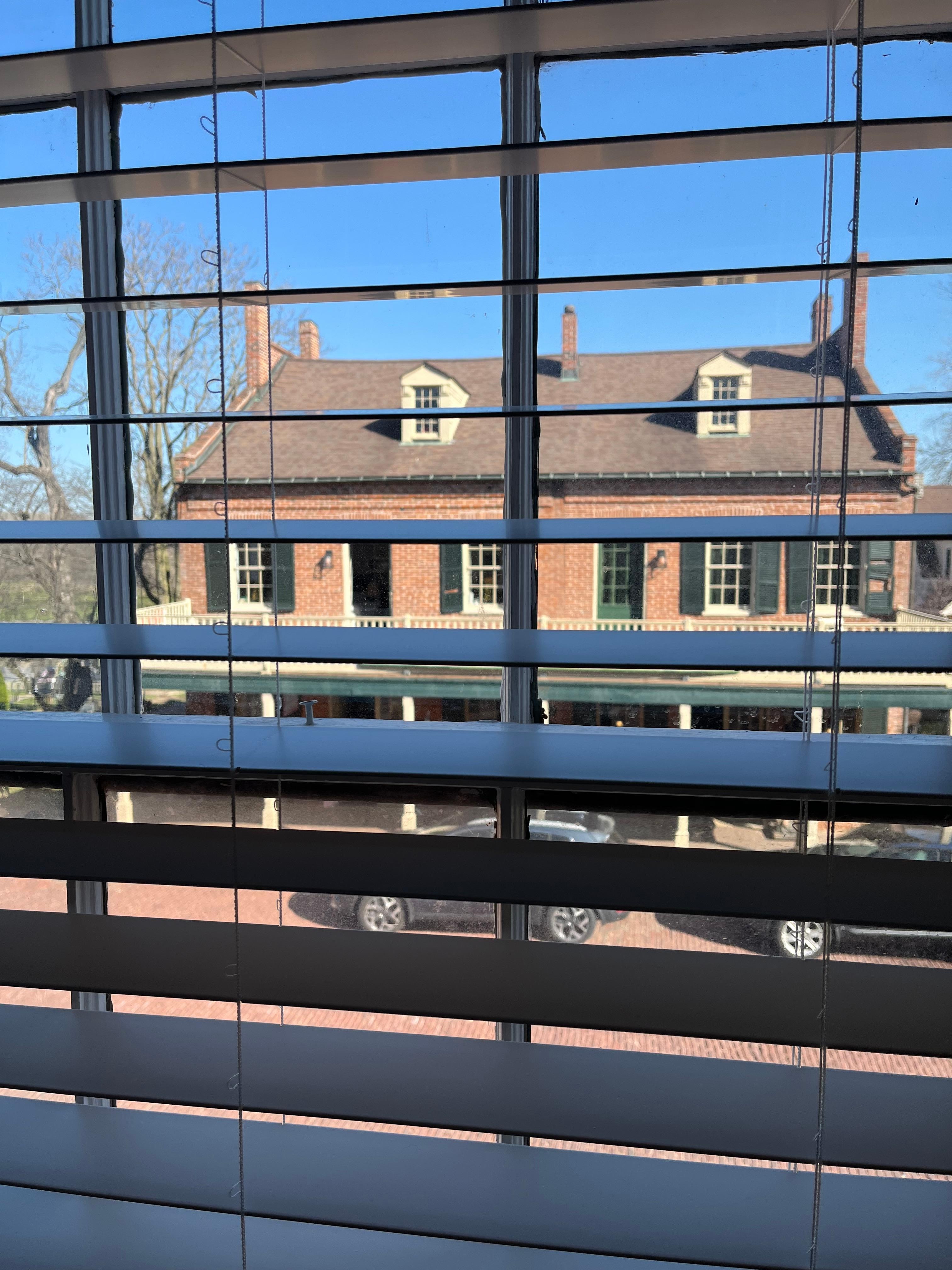 The view outside the window.