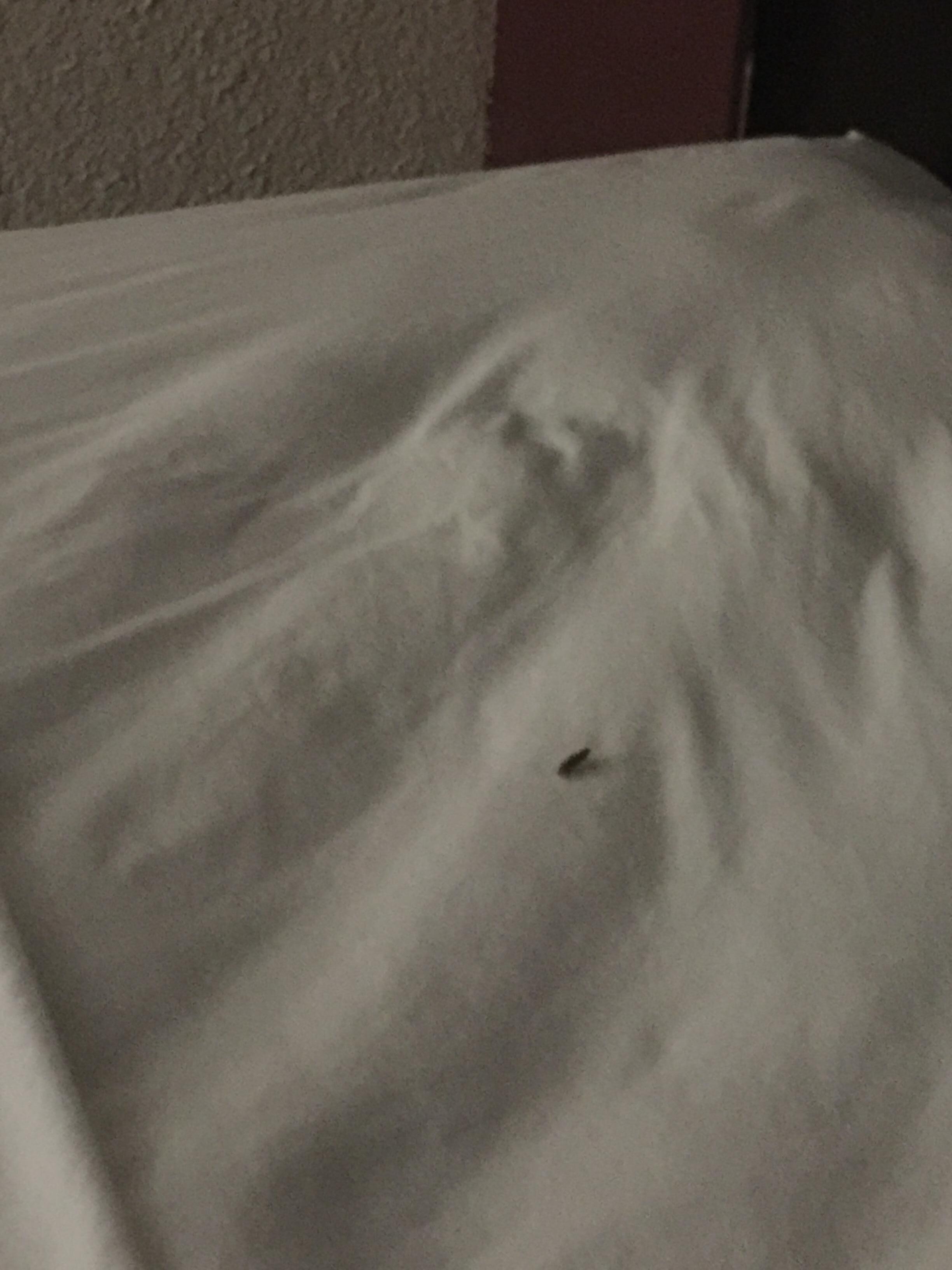 Water stain