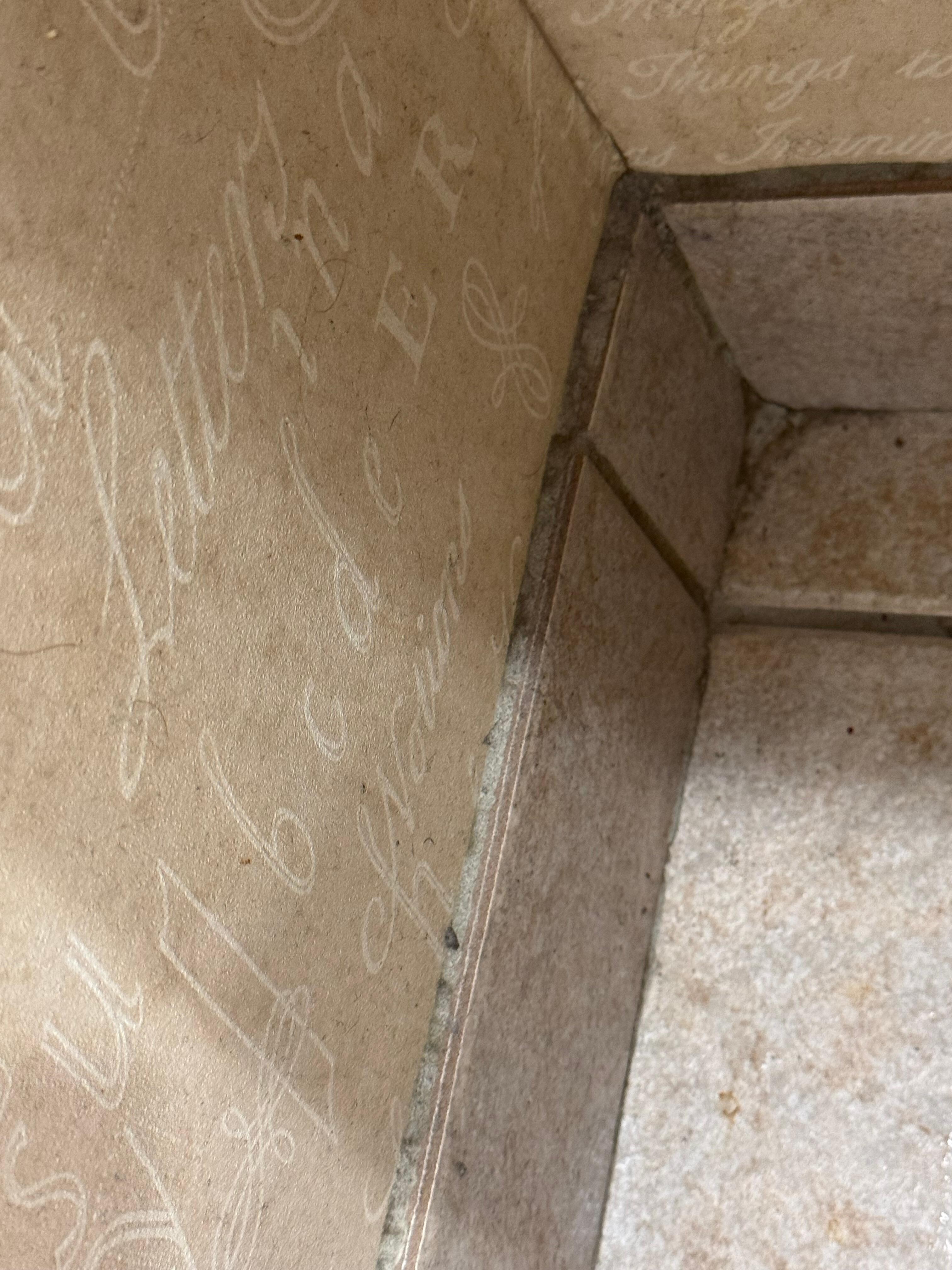 Dirty along baseboards 