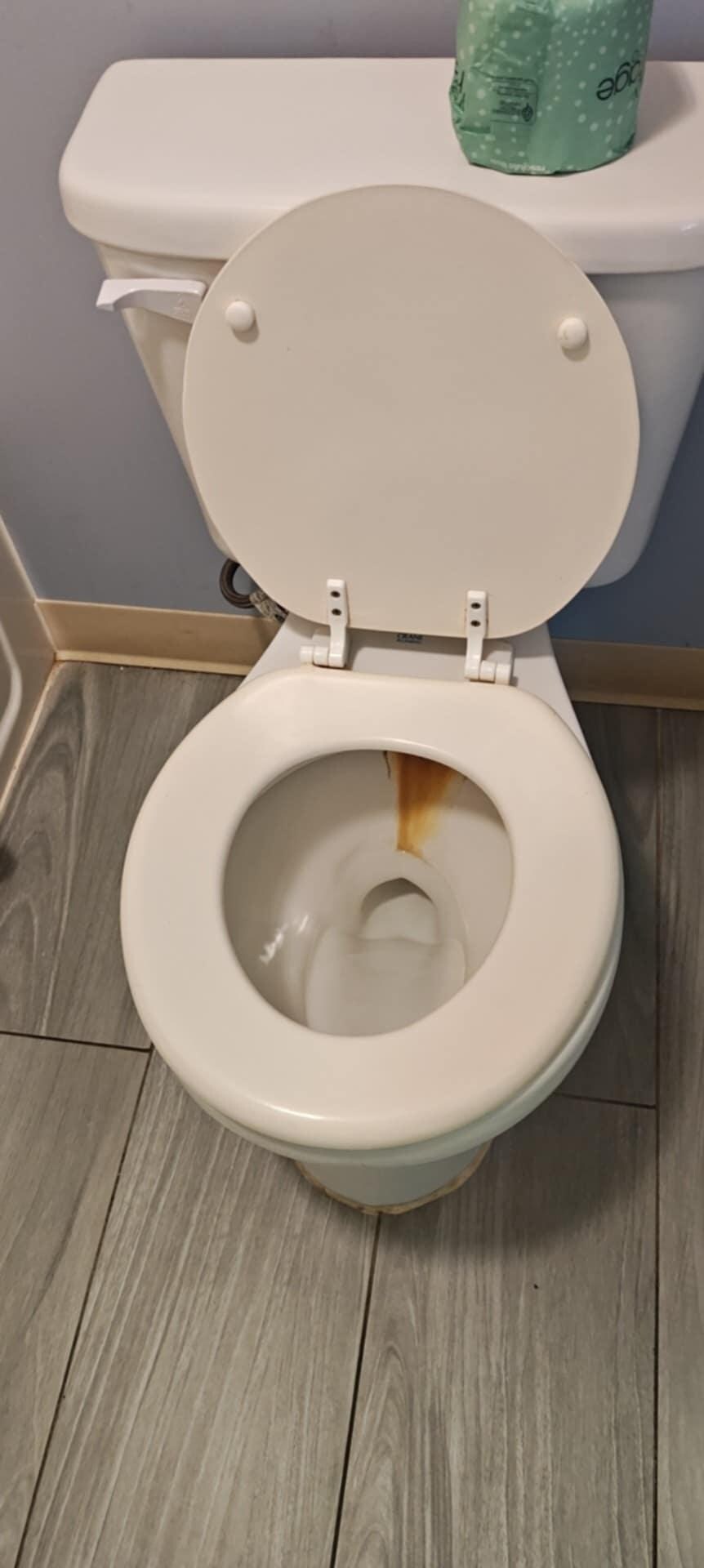 Toilet appeared to not have been cleaned in years