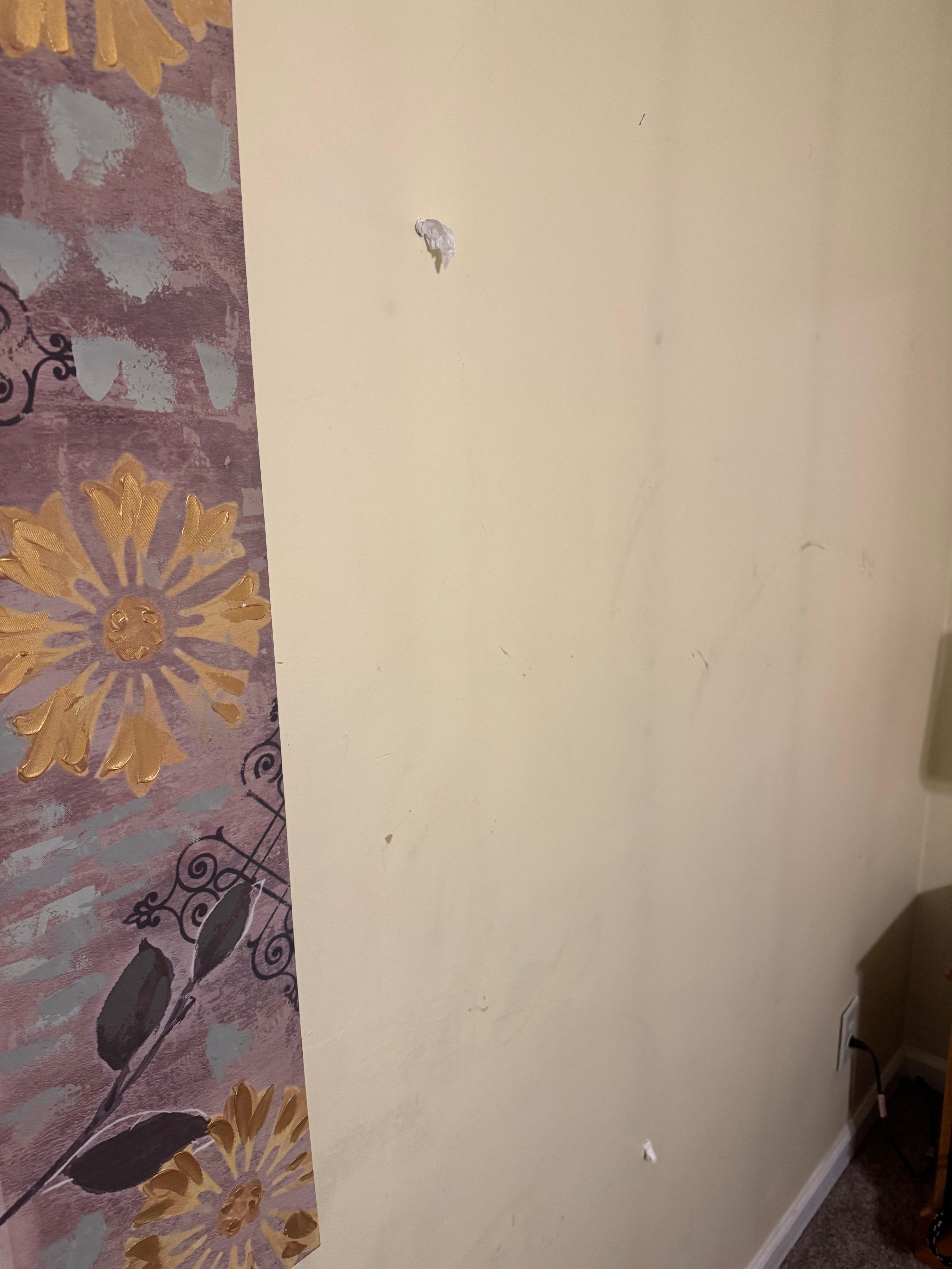 Holes in wall.  My wife put toilet paper in them in case any of them were cameras.